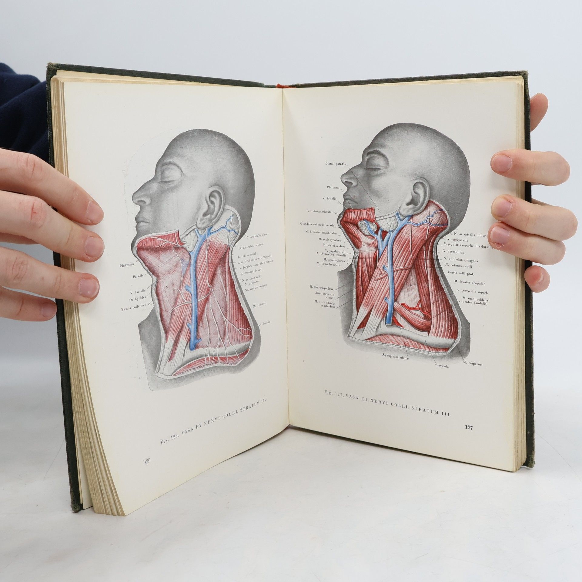 Kiss ANATOMISCHER ATLAS DES MENSCHLICHEN KÖRPERS