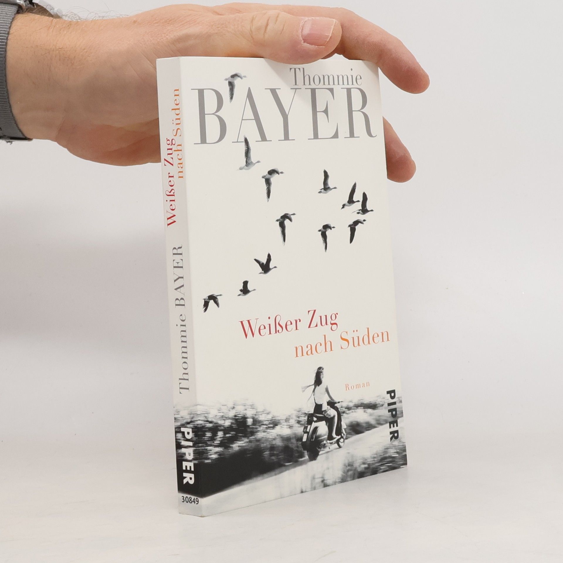 Thommie Bayer Weißer Zug nach Süden