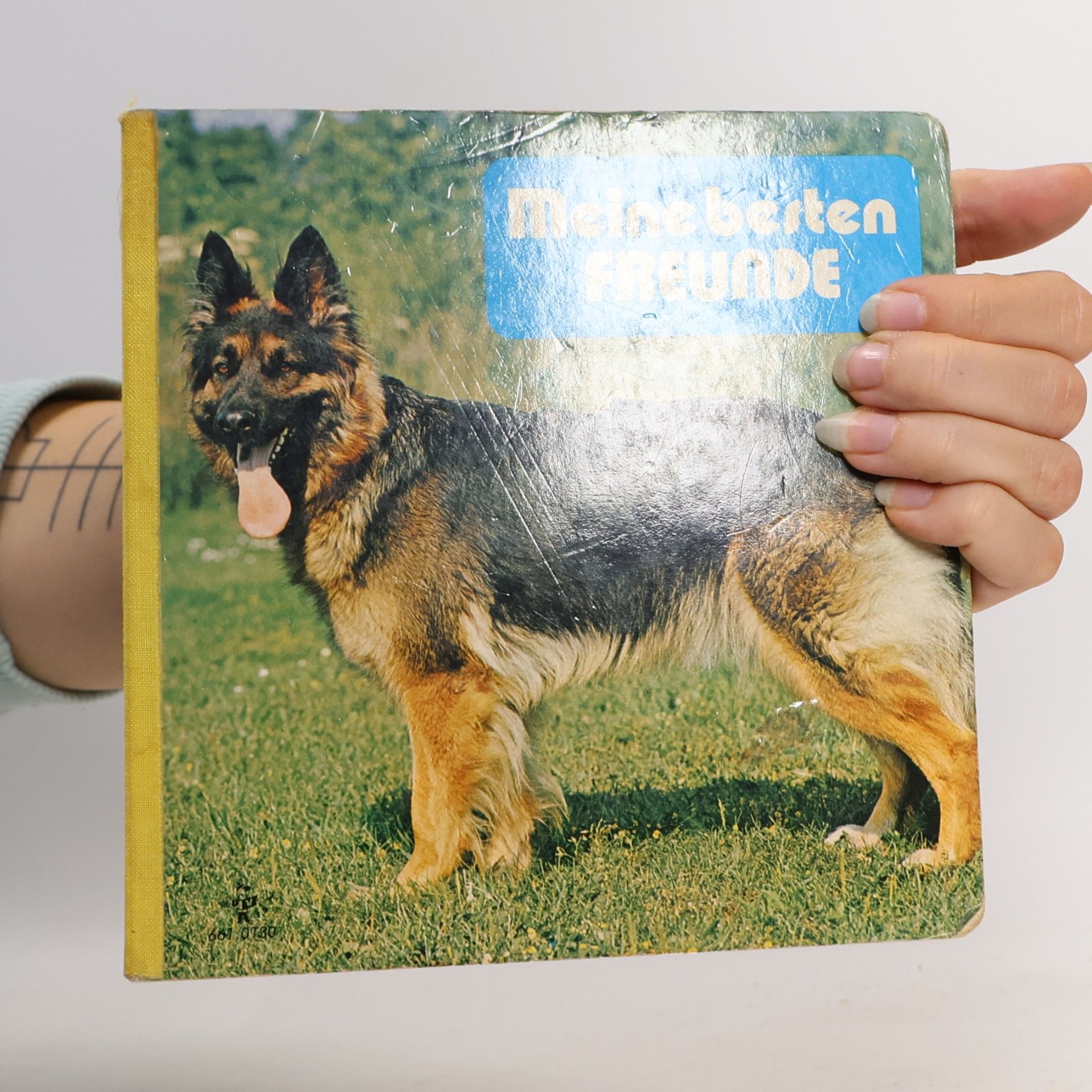 kolektiv Meine besten Freunde