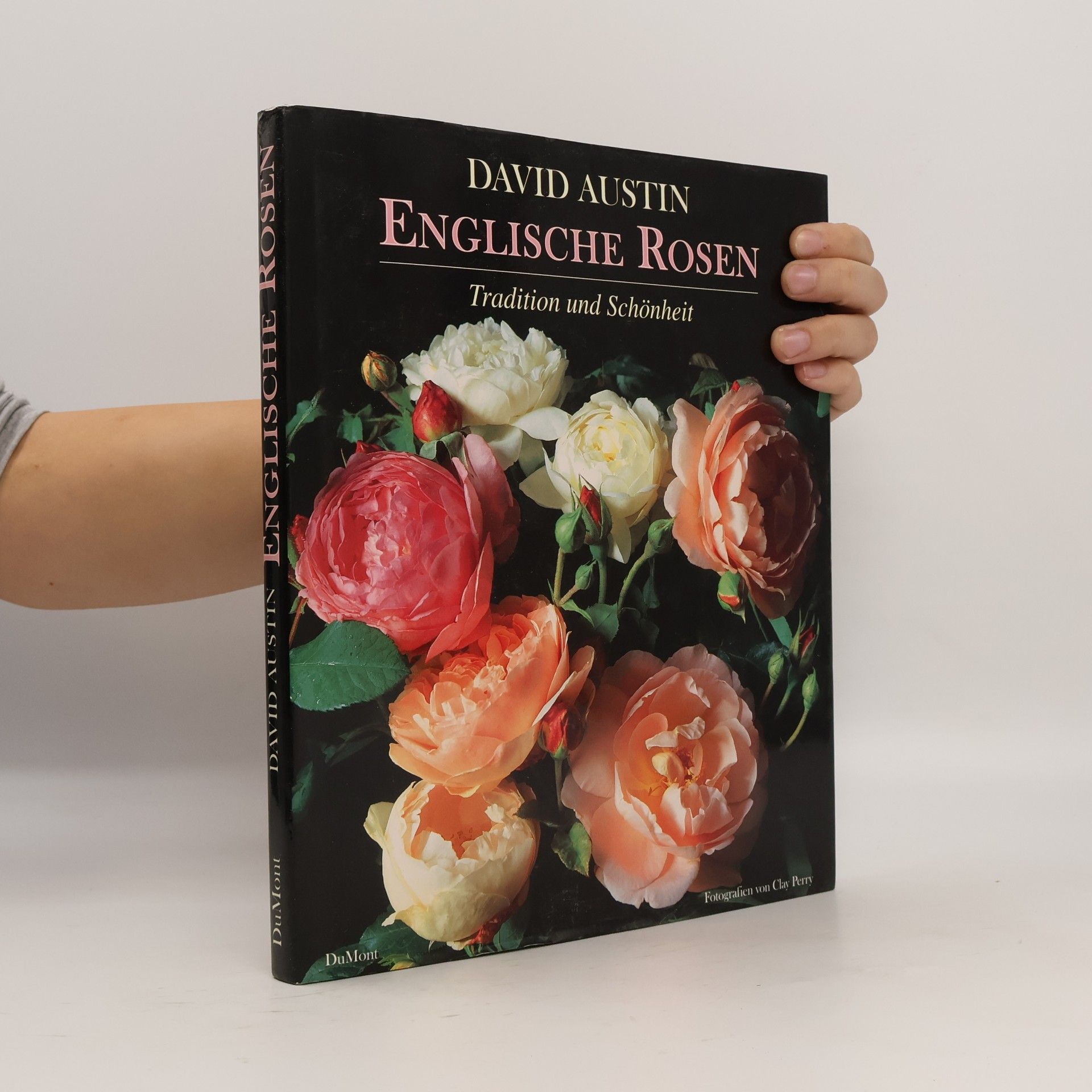 David Austin Englische Rosen
