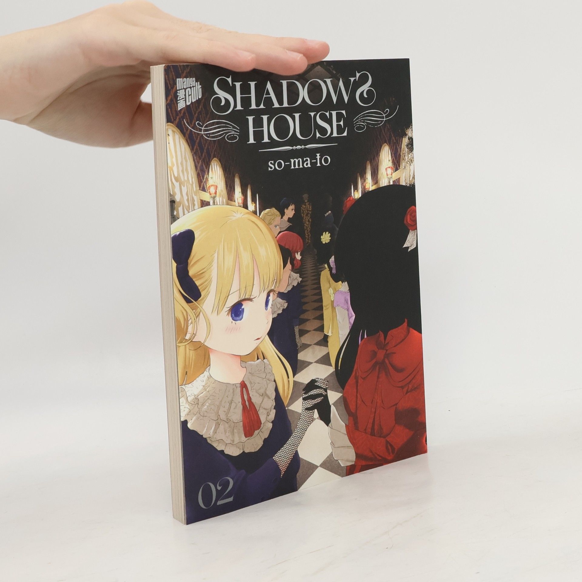 Somato Shadows House 2
