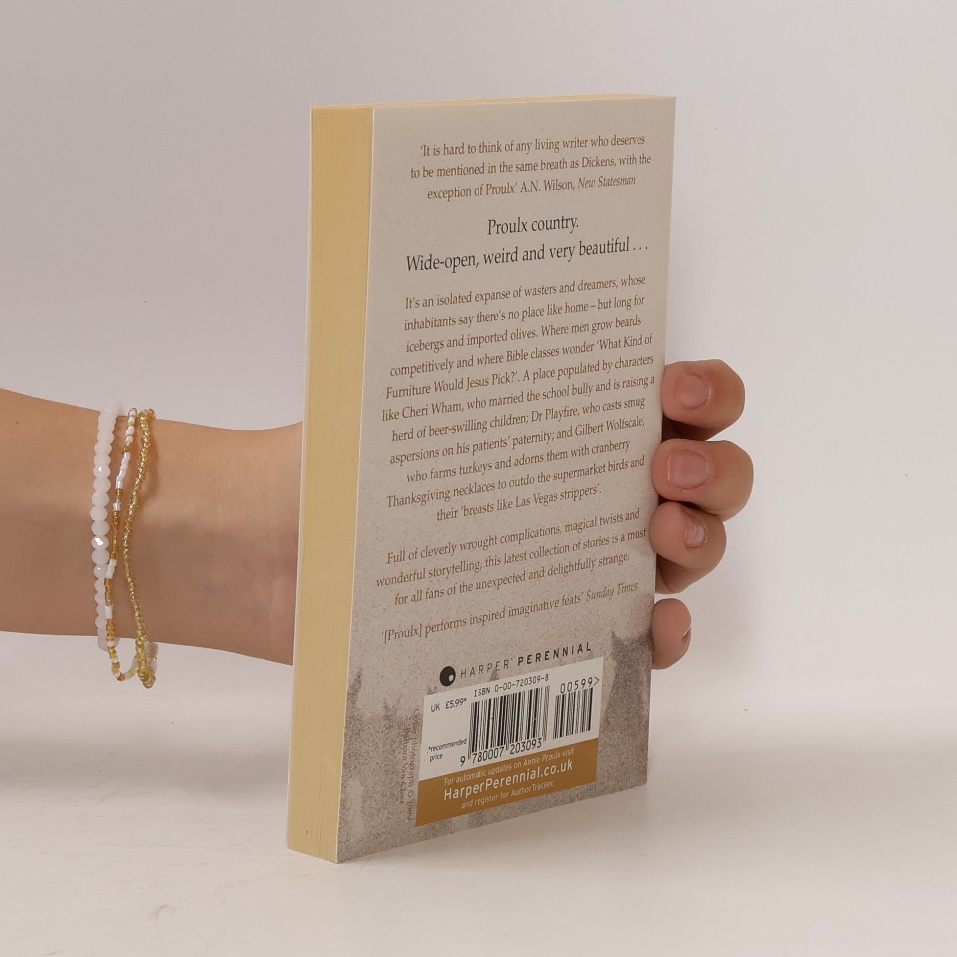 Annie Proulx Bad Dirt - Wyoming Stores 2