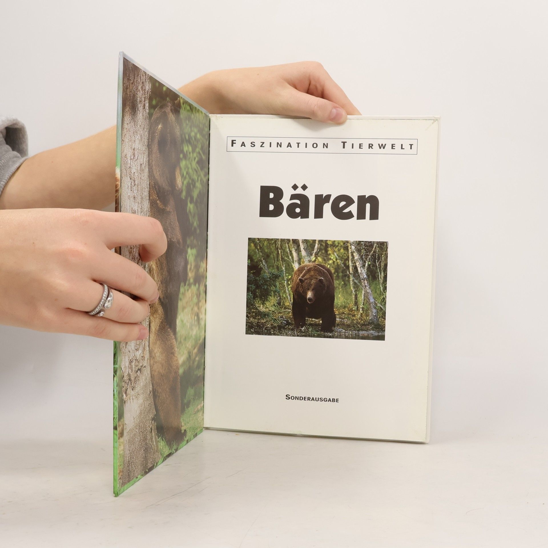 Helga Hofmann-Sieber Bären Fazination Tierwelt