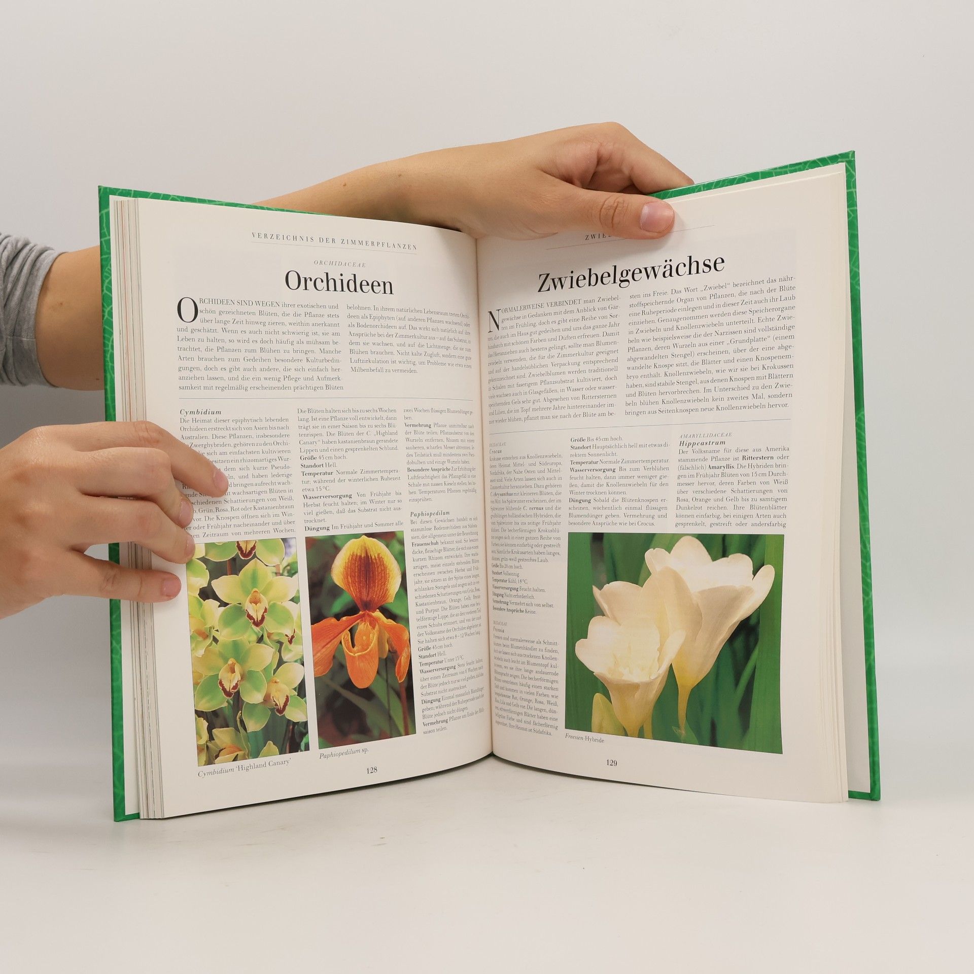 Various authors Schöne und gesunde Zimmerpflanzen