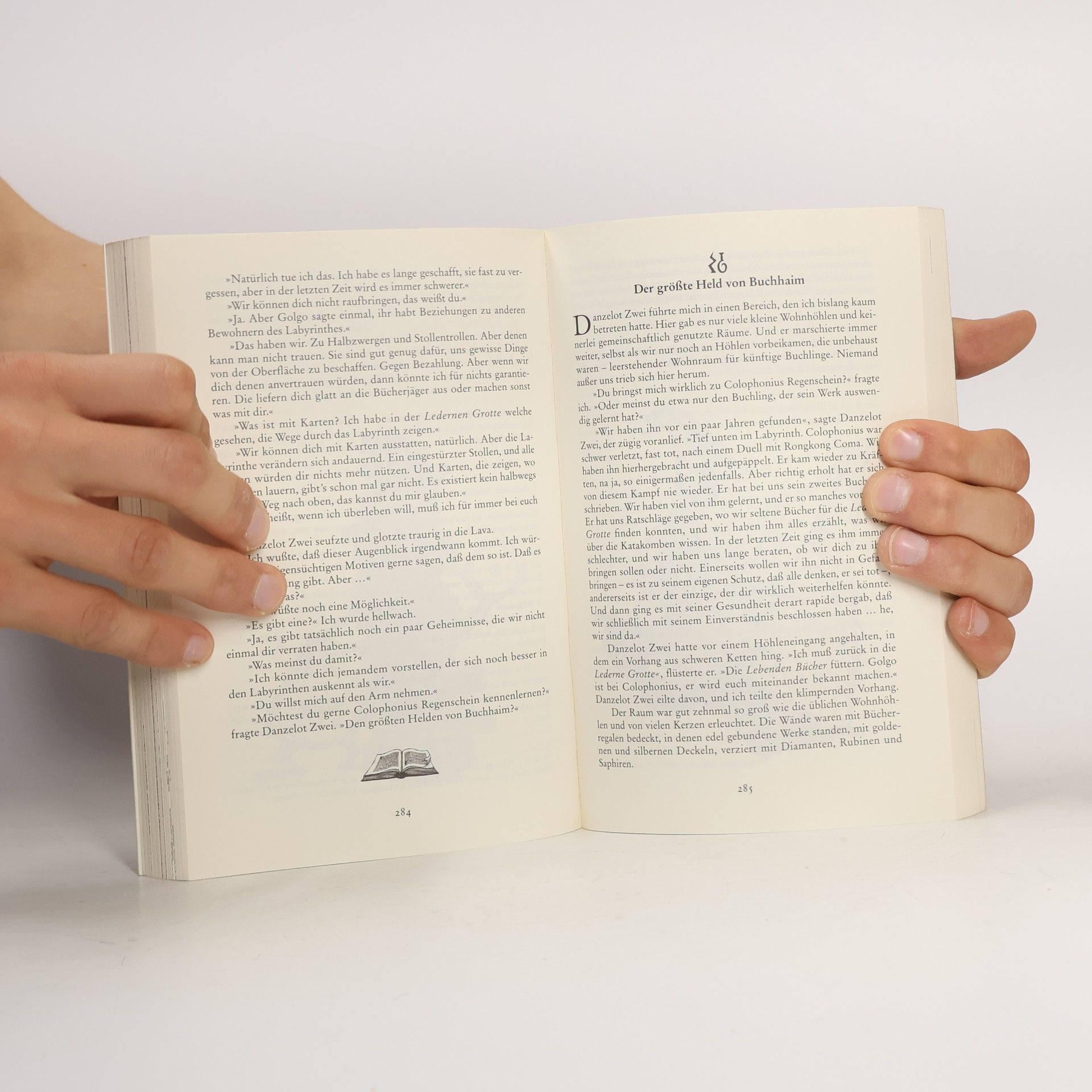 Walter Moers Die Stadt der träumenden Bücher