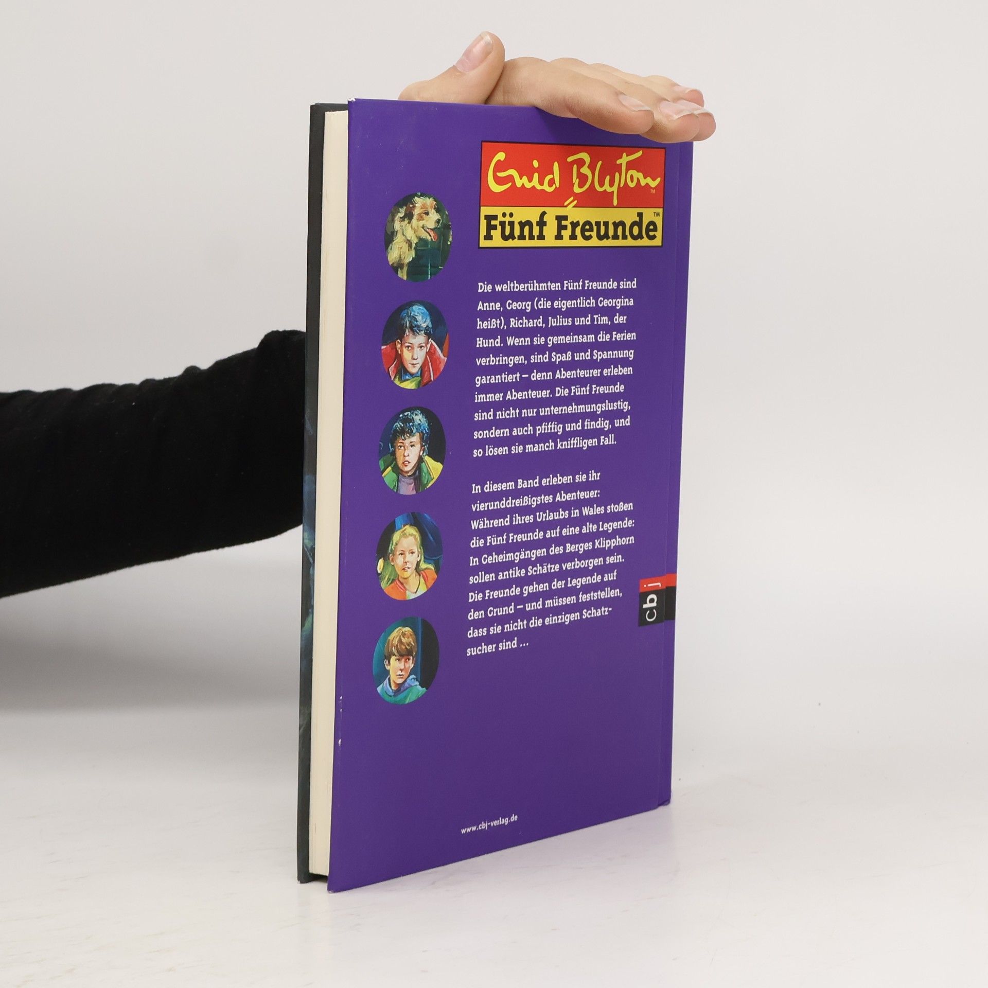 Enid Blyton Fünf Freunde suchen den verschollenen Goldschatz