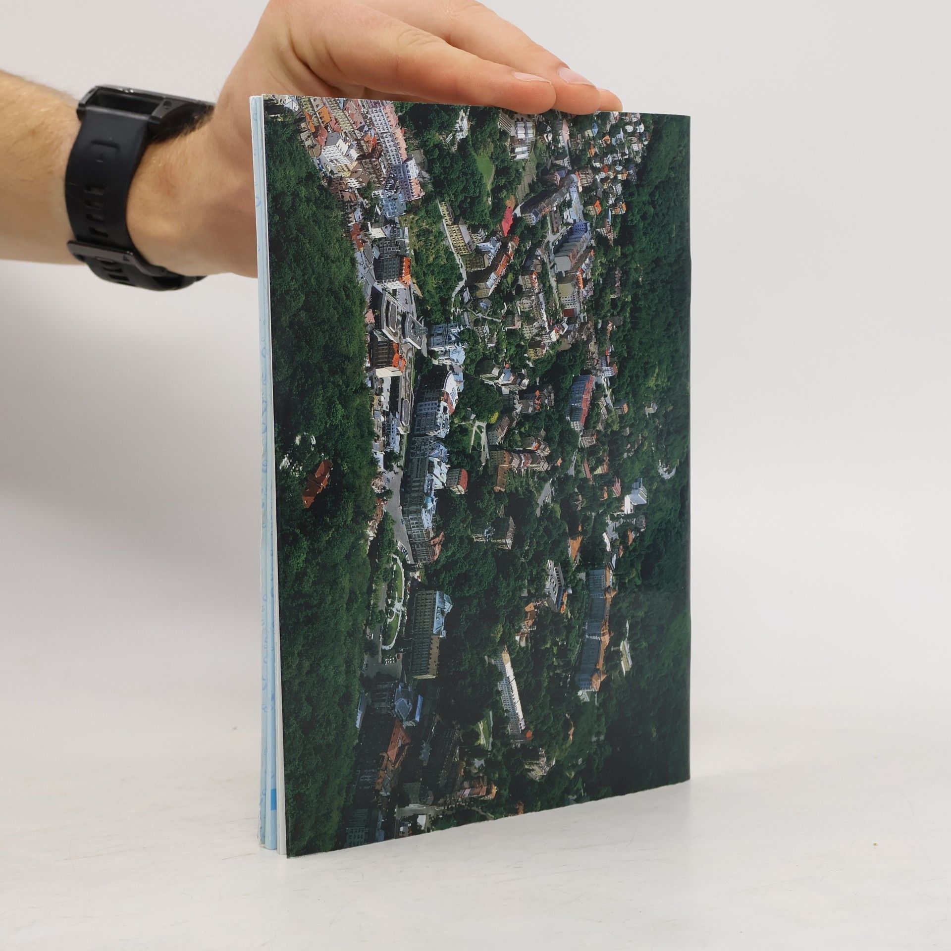 Jiří Wendler Karlovy Vary. Světové lázně : historie, současnost, možnosti