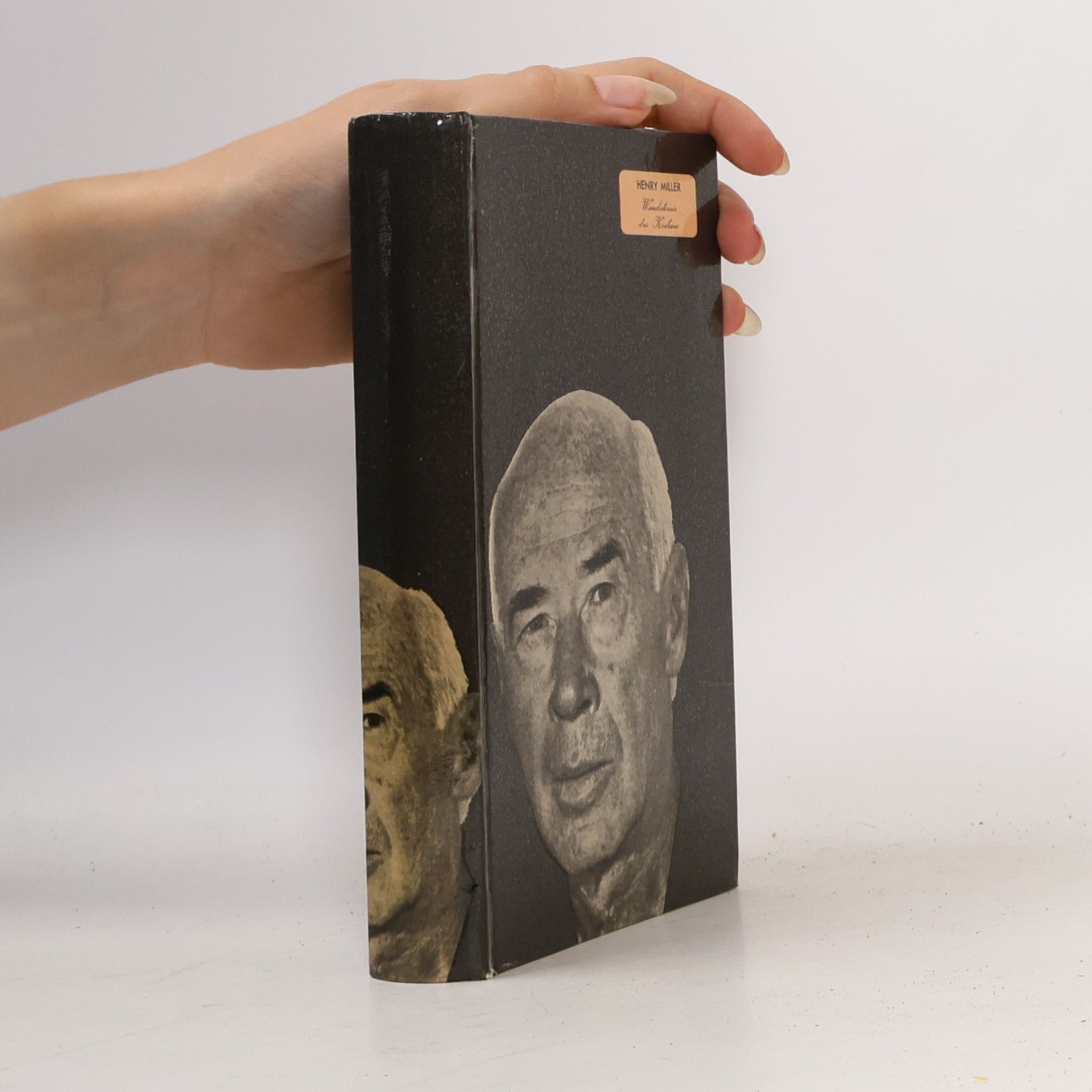 Henry Miller Wendekreis des Krebses
