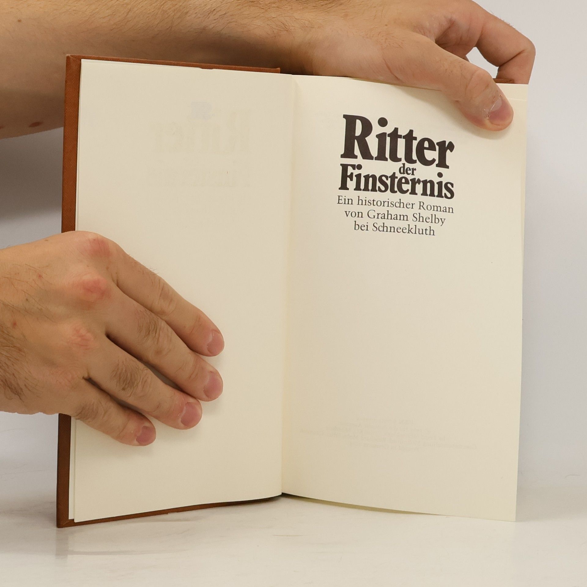 Ritter der Finsternis. Ein historischer Roman