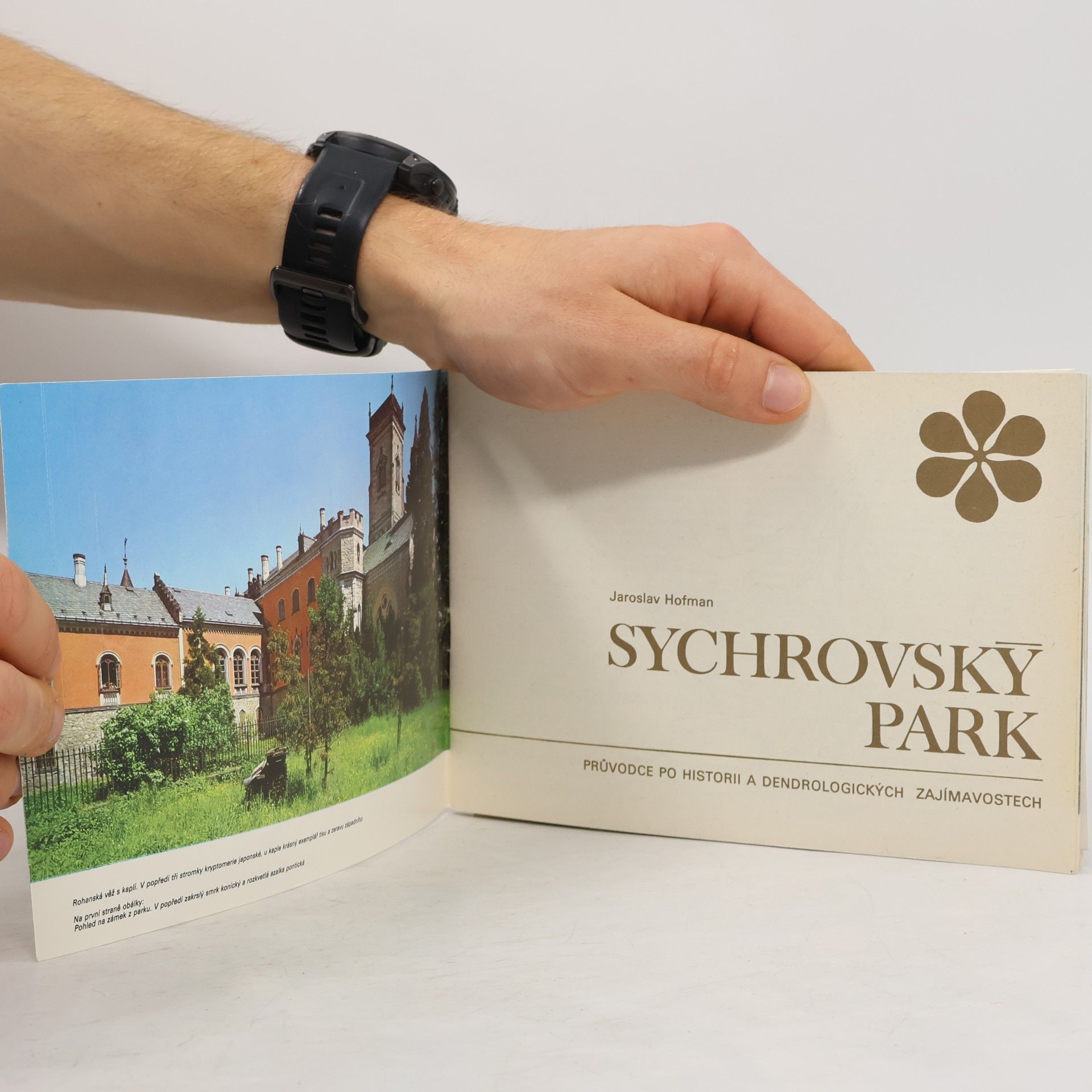 Jaroslav Hofmann Sychrovský park. Průvodce po historii a dendrochronologických zajímavostech