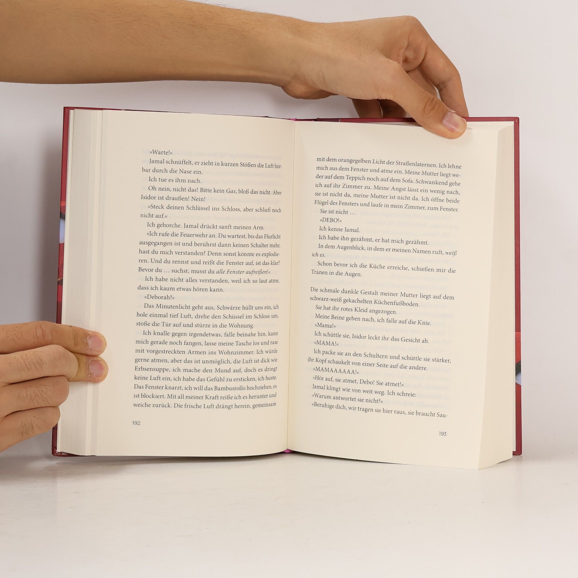 Marie Pavlenko Die Kirsche auf der Torte aller Katastrophen