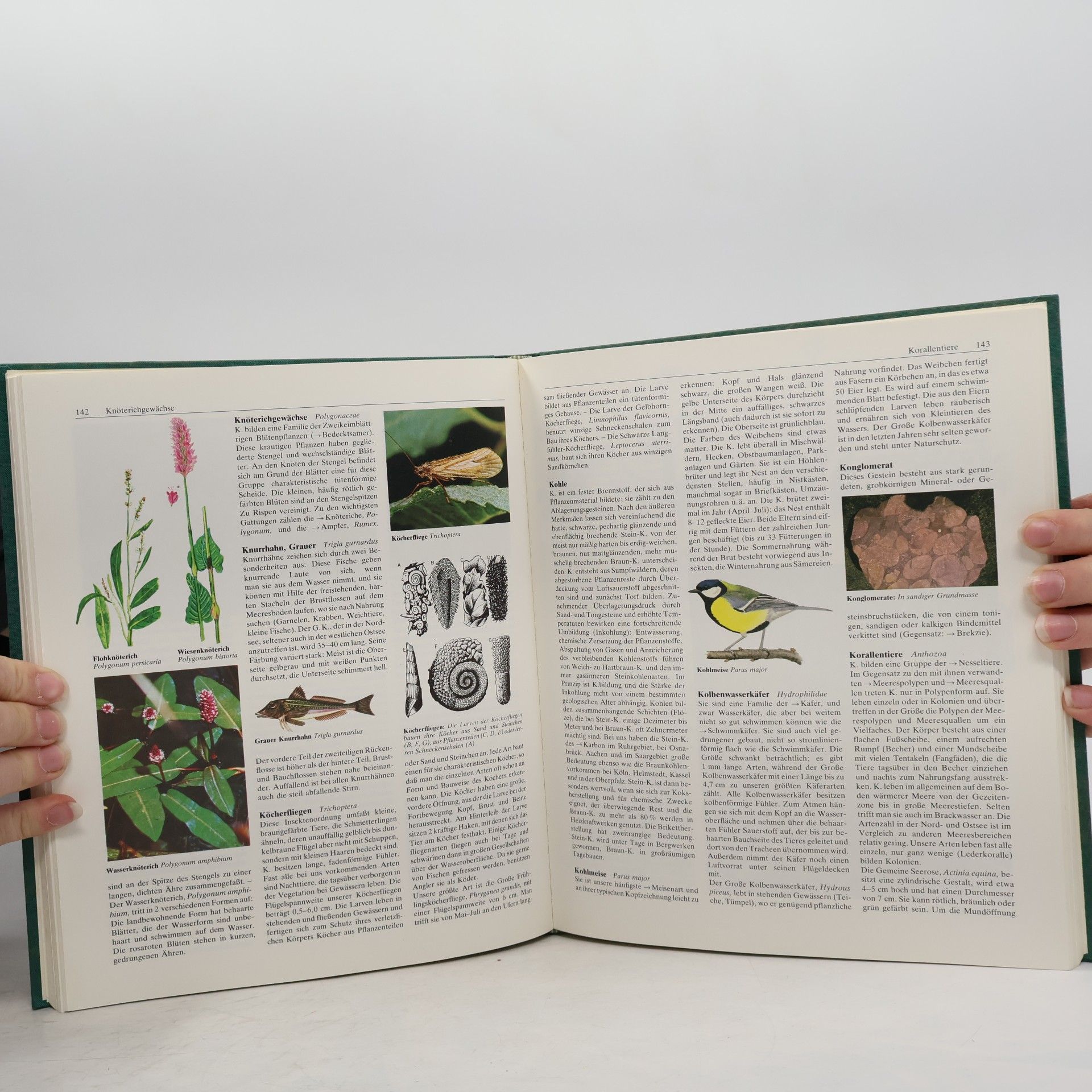 Edwin Möhn Der grosse Natur- und Landschaftsführer