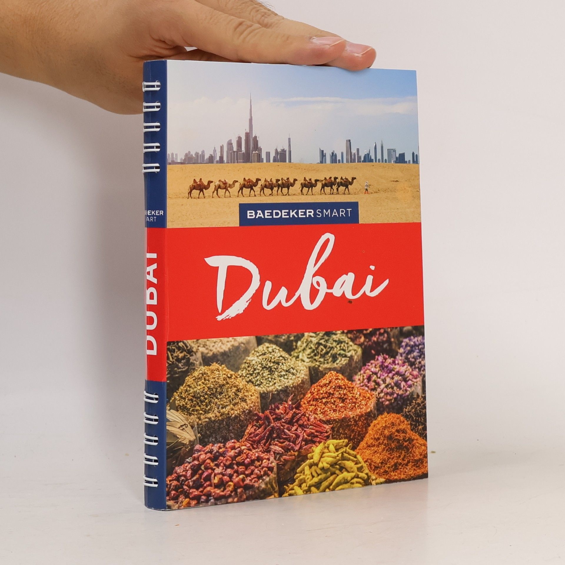Birgit Müller-Wöbcke Dubai