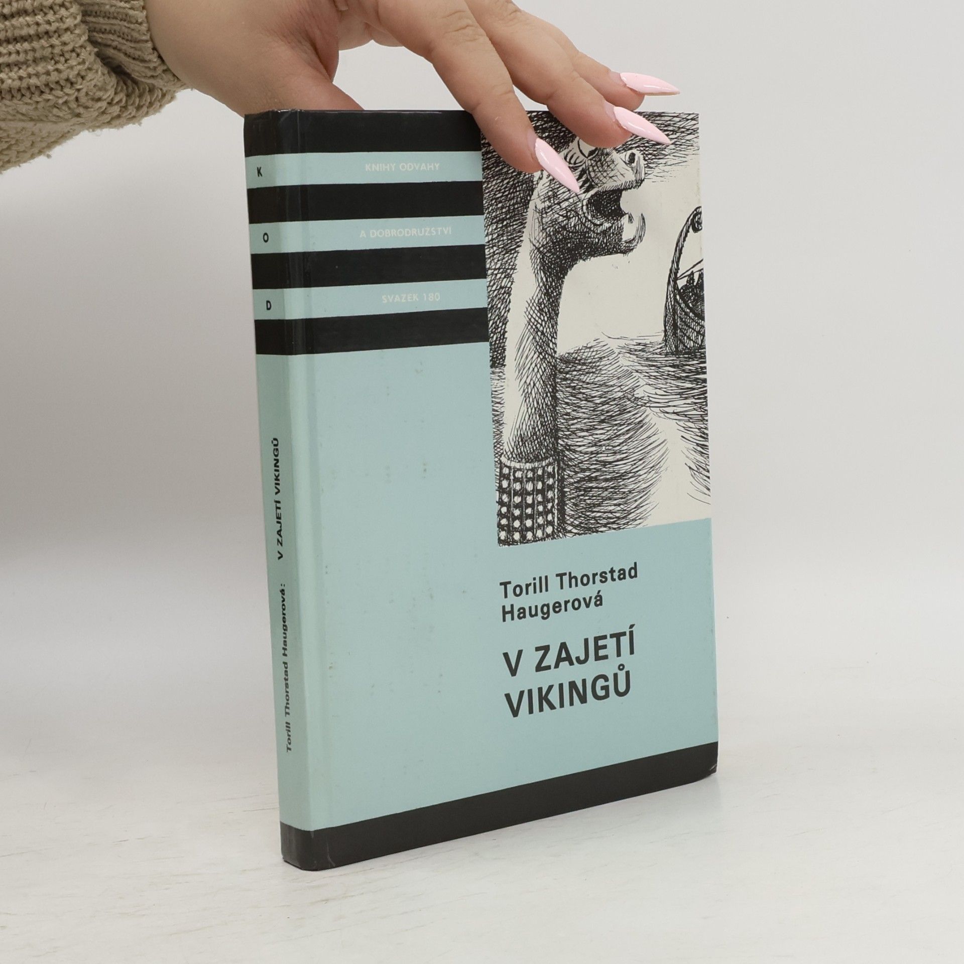 V zajetí vikingů