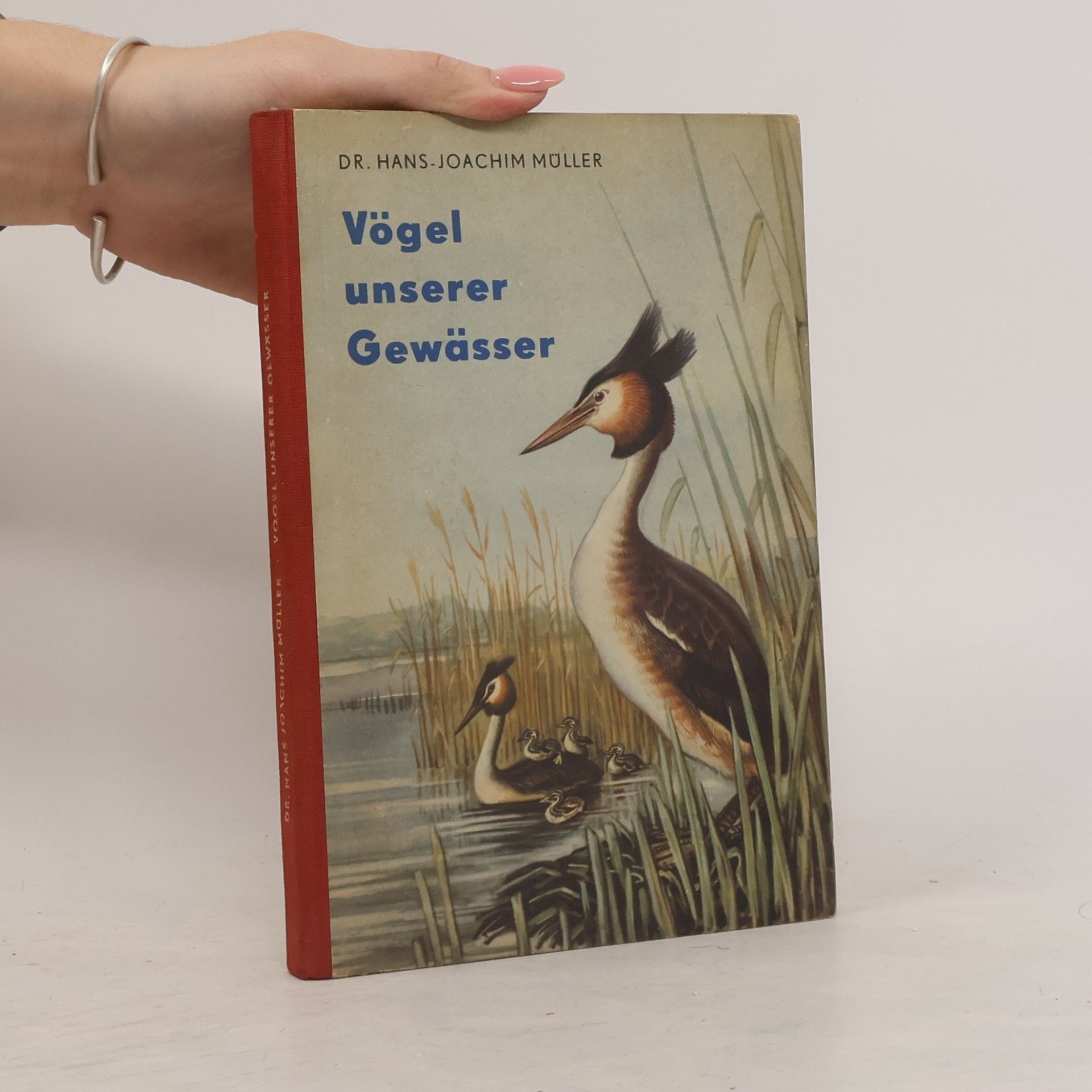 Vögel unserer Gewässer