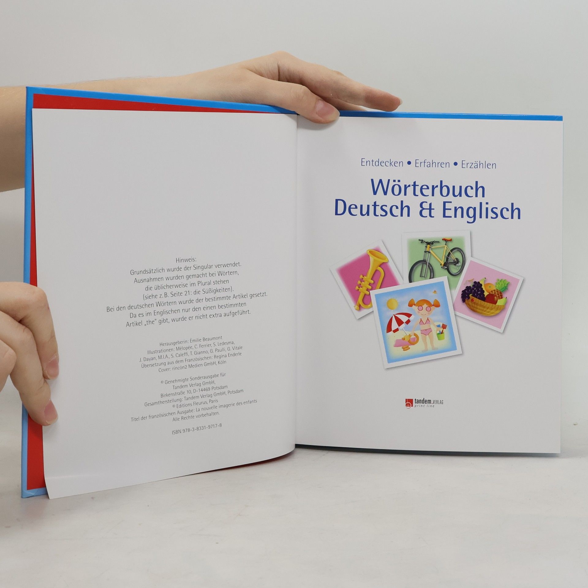 Kolektiv autorů Wörterbuch Deutsch-Englisch