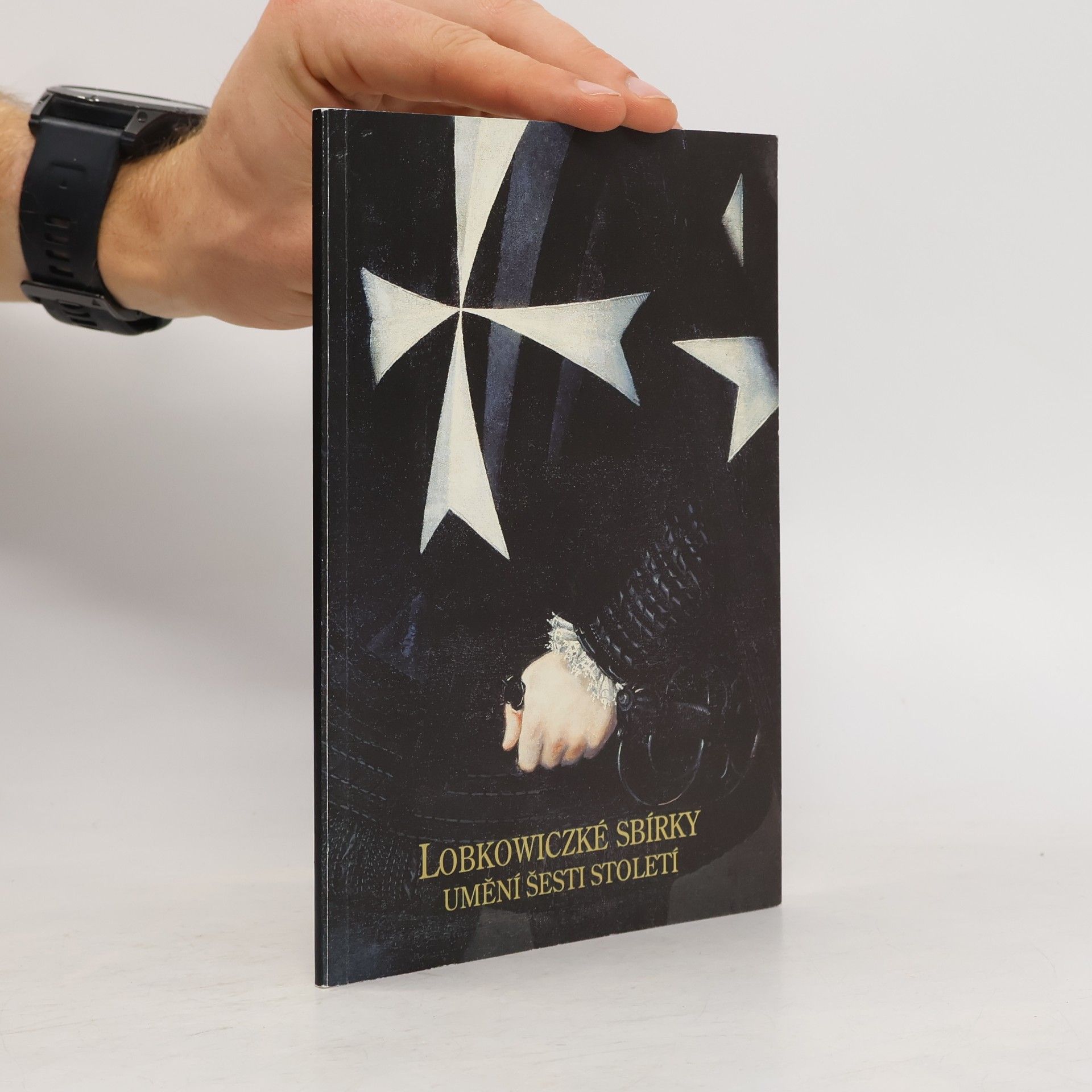 Kolektiv autorů Lobkowiczké sbírky. Umění šesti století
