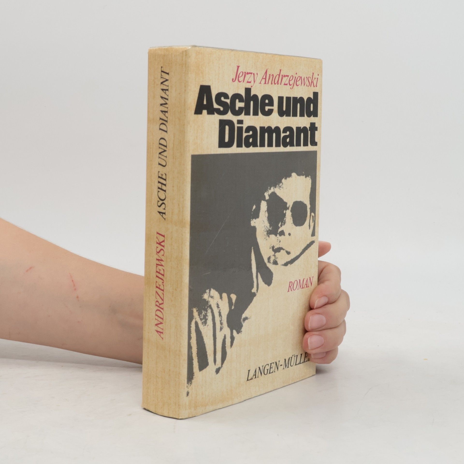 Wolfgang Andreas Taube Asche und Diamant