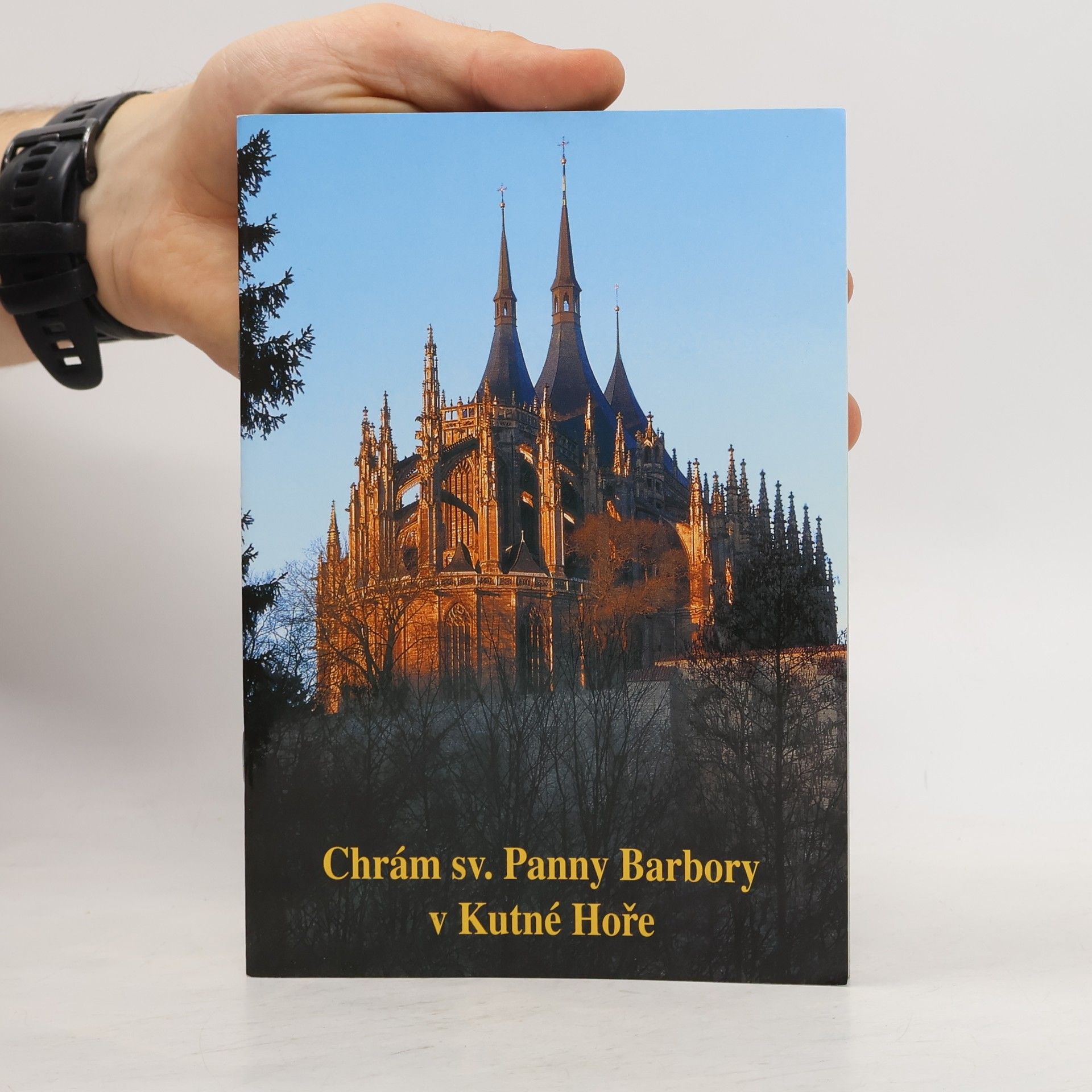 Collectif d'auteurs Chrám sv. Panny Barbory v Kutné Hoře