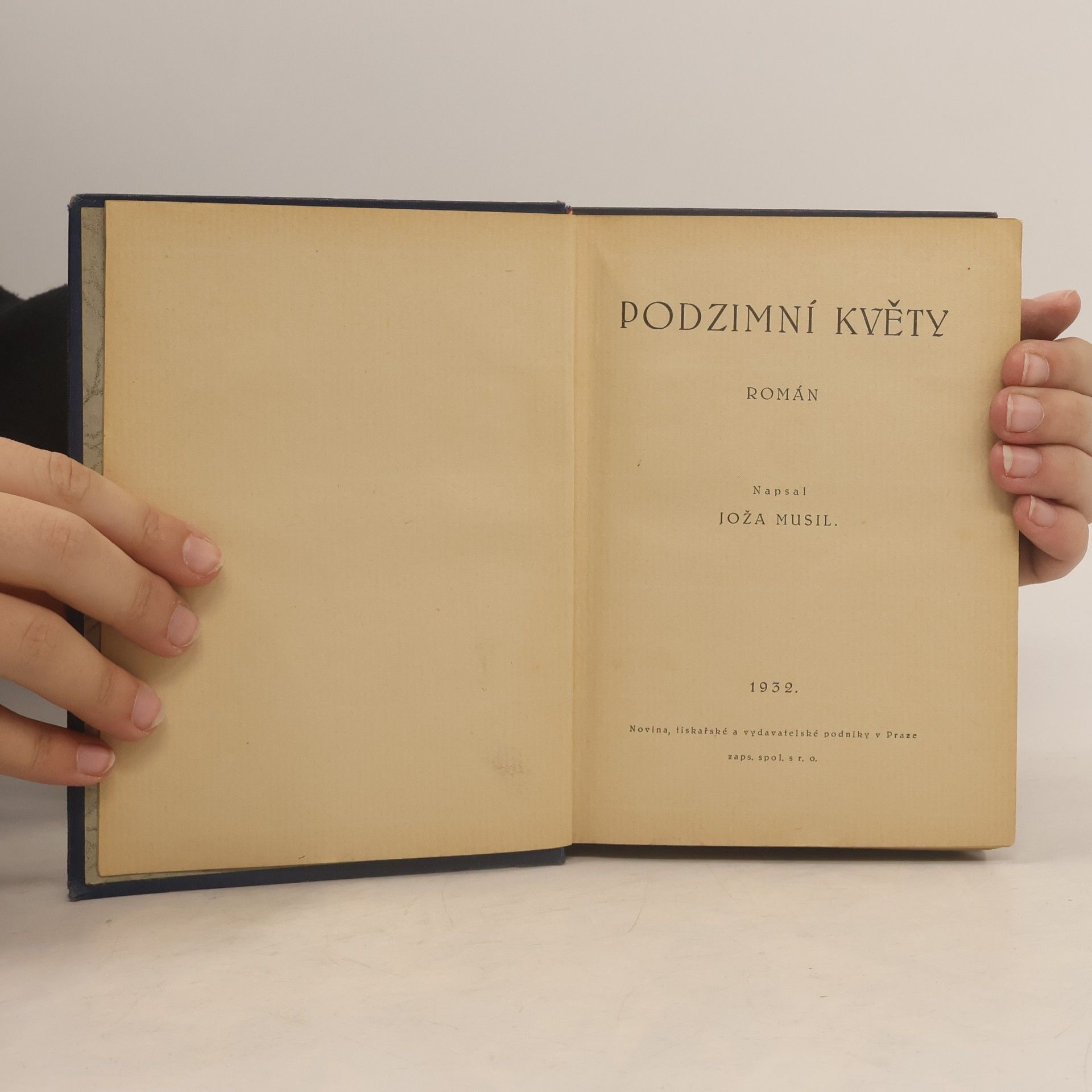 Joža Musil Podzimní květy