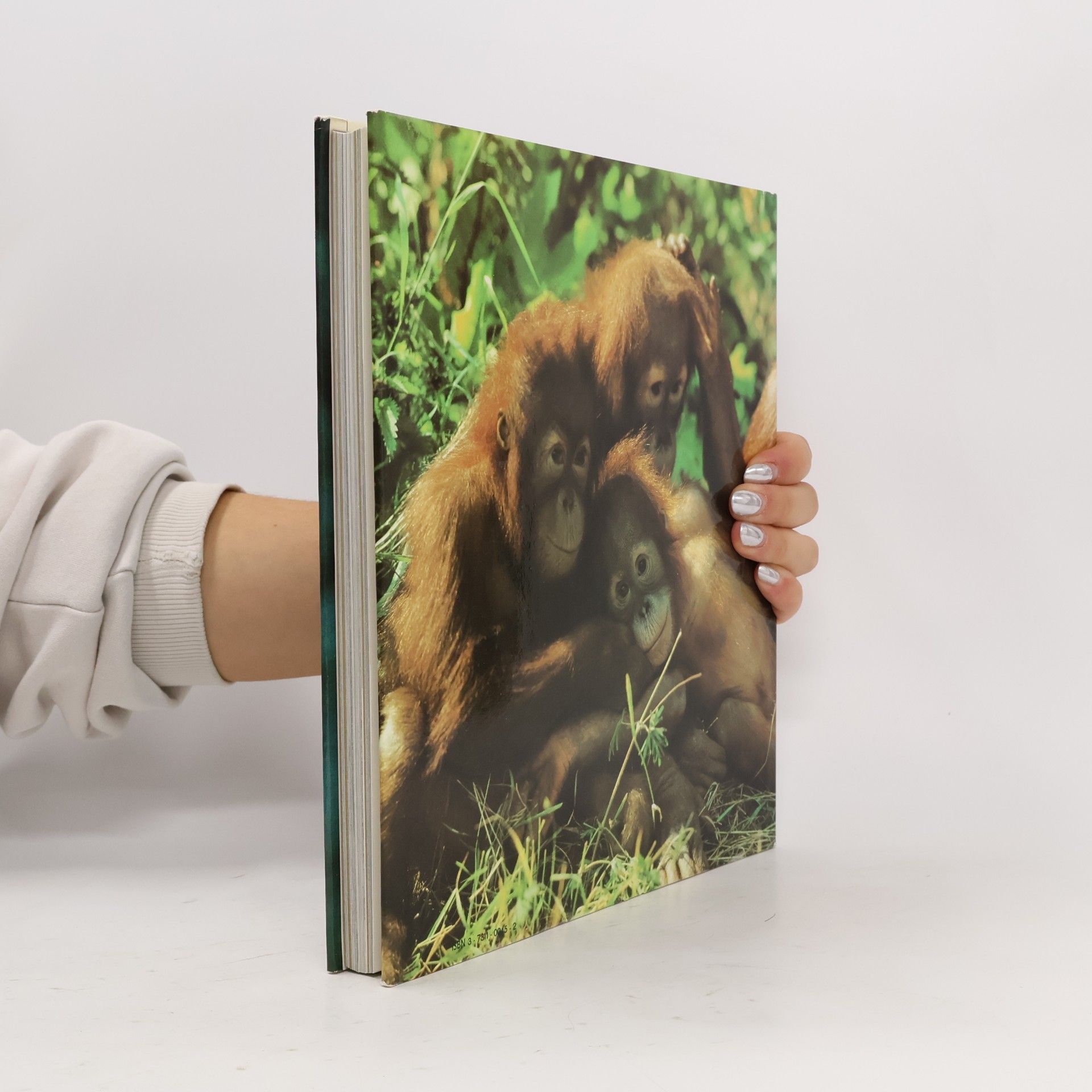 Brinsch ZOO fotografie