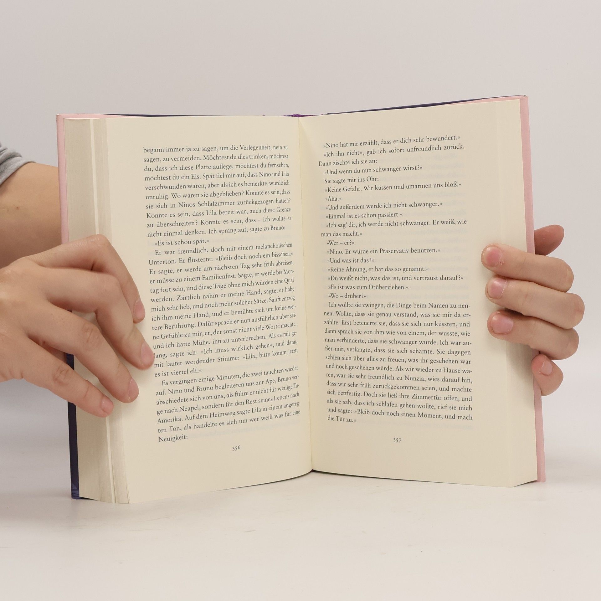Elena Ferrante Die Geschichte eines neuen Namens: Jugendjahre