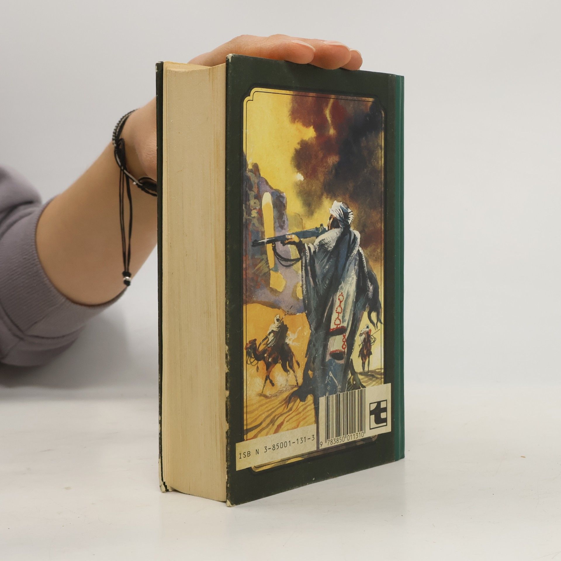 Karl May Der Löwe der Blutrache