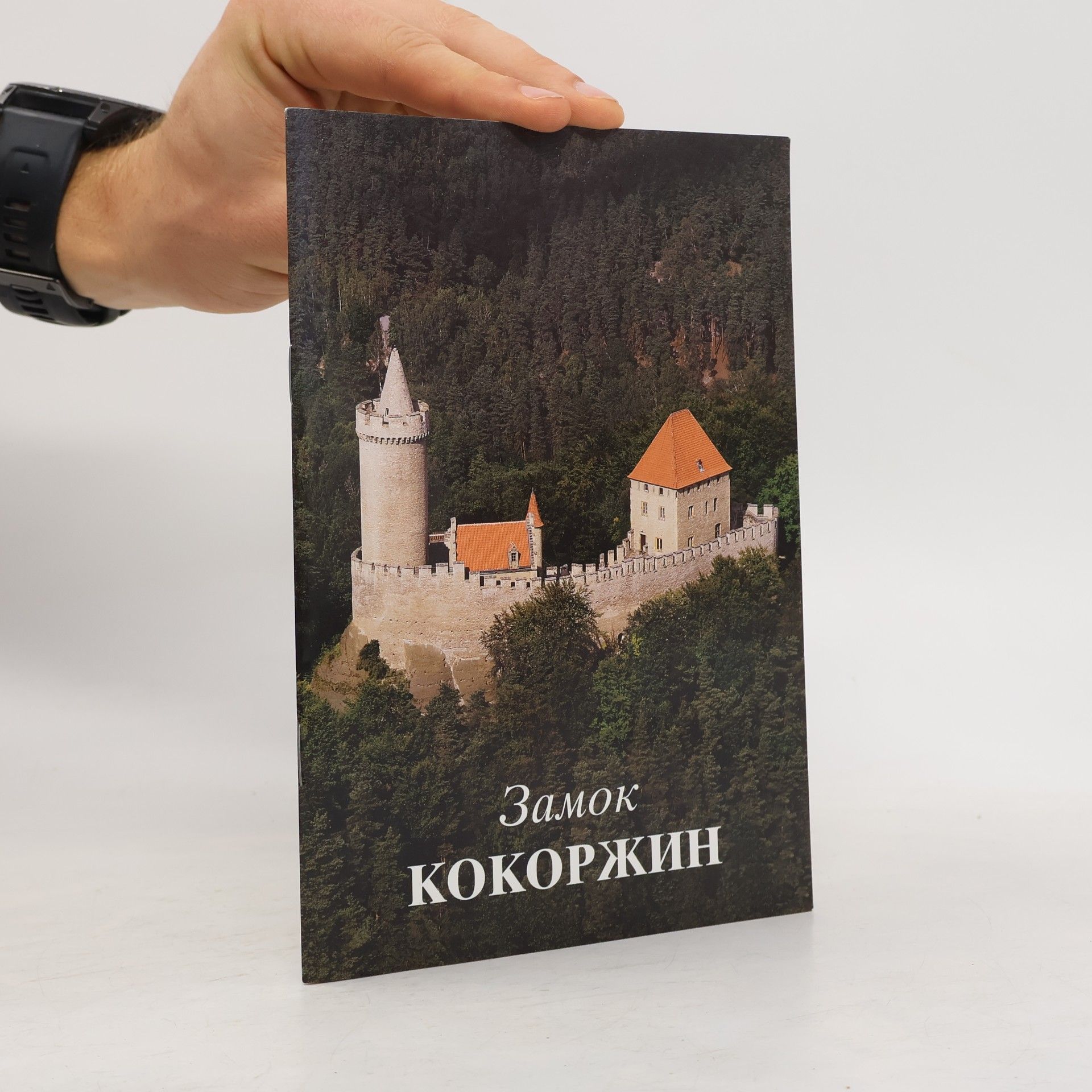 Замок Кокоржин