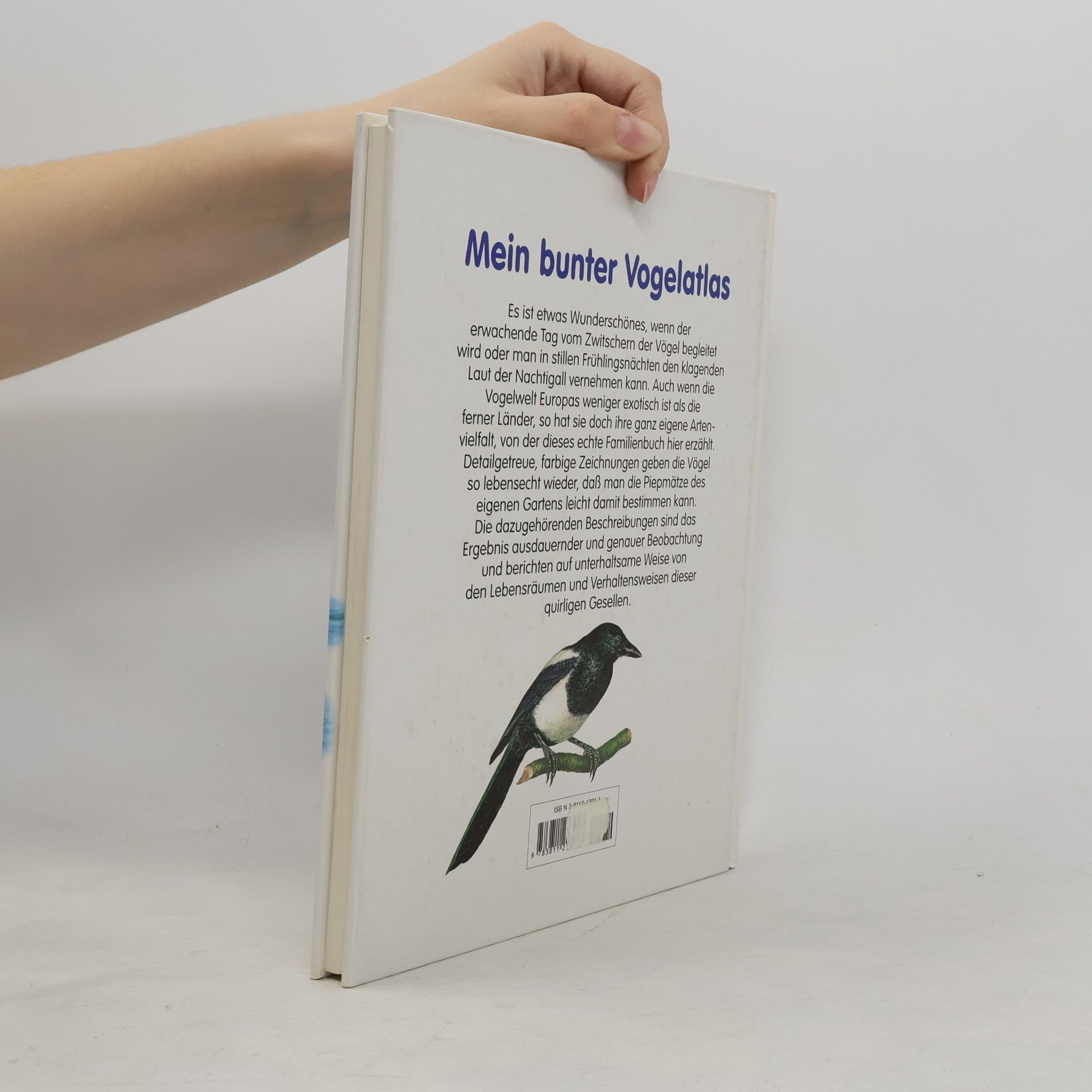 Various authors Mein bunter Vogelatlas
