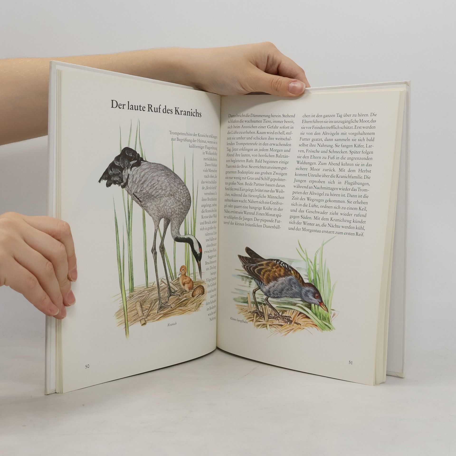 Various authors Mein bunter Vogelatlas