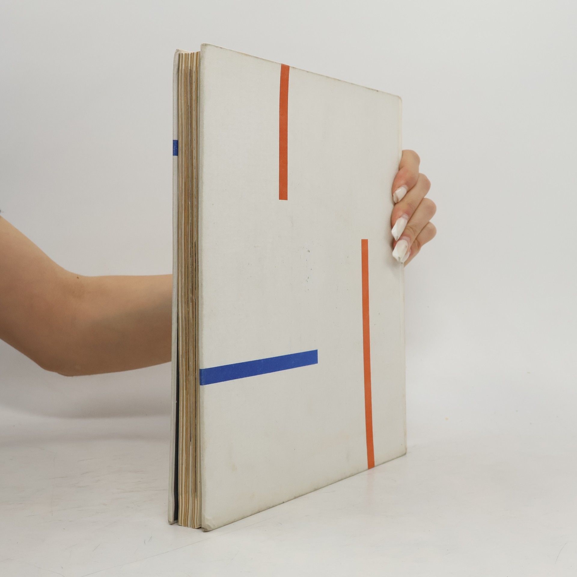 Autorenkollektiv Moderní architektura v československu