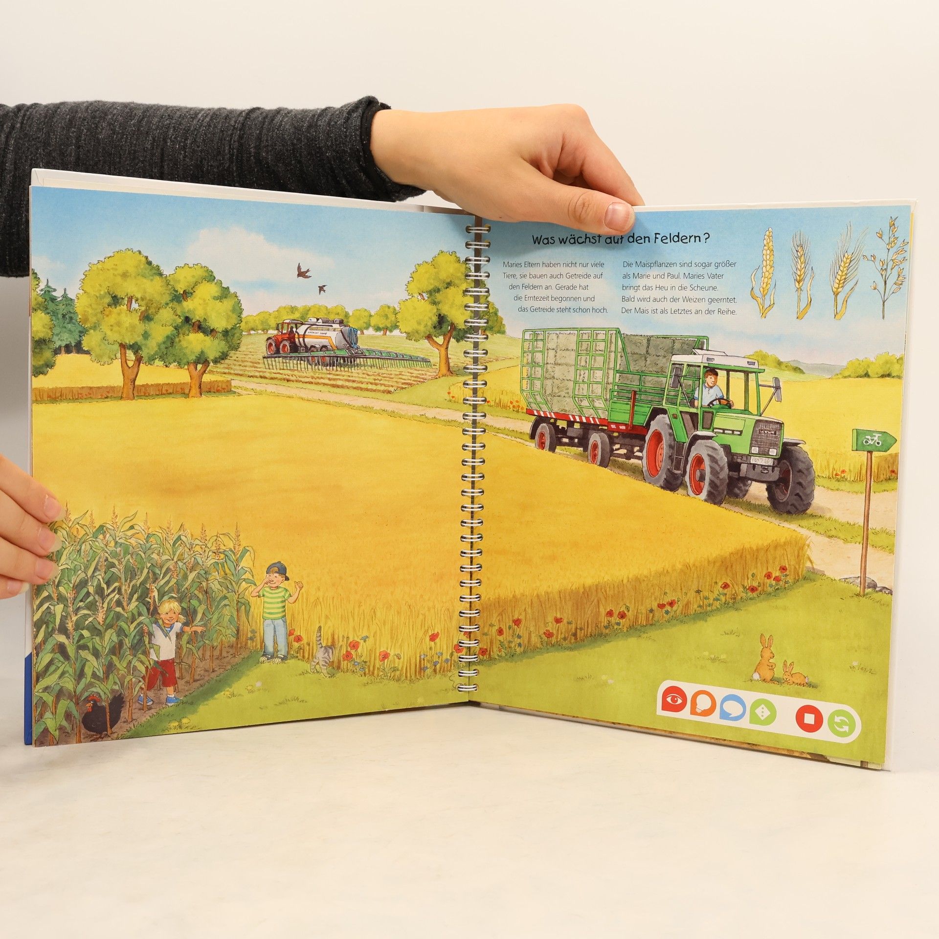 Inka Friese Entdecke den Bauernhof