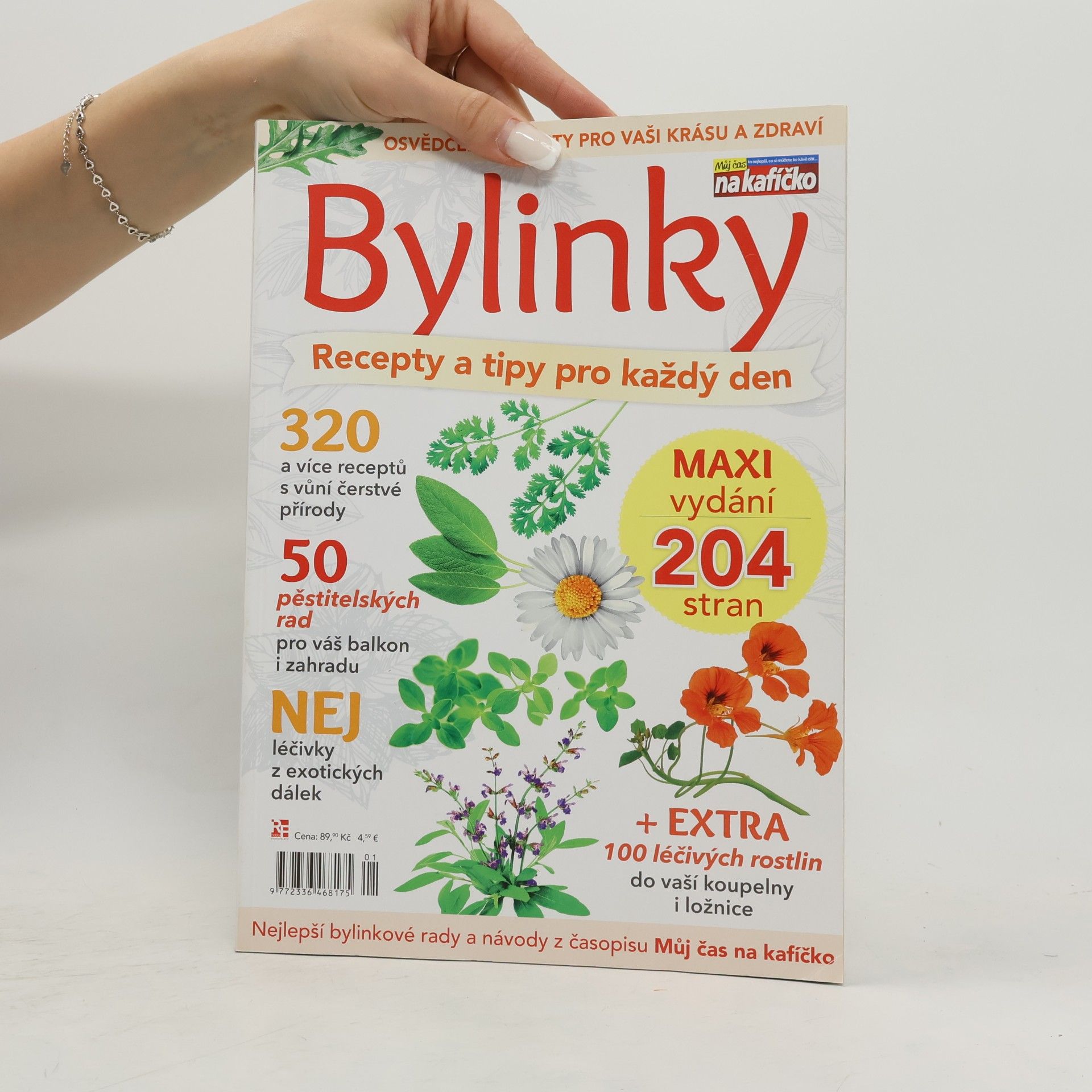 kolektiv Bylinky