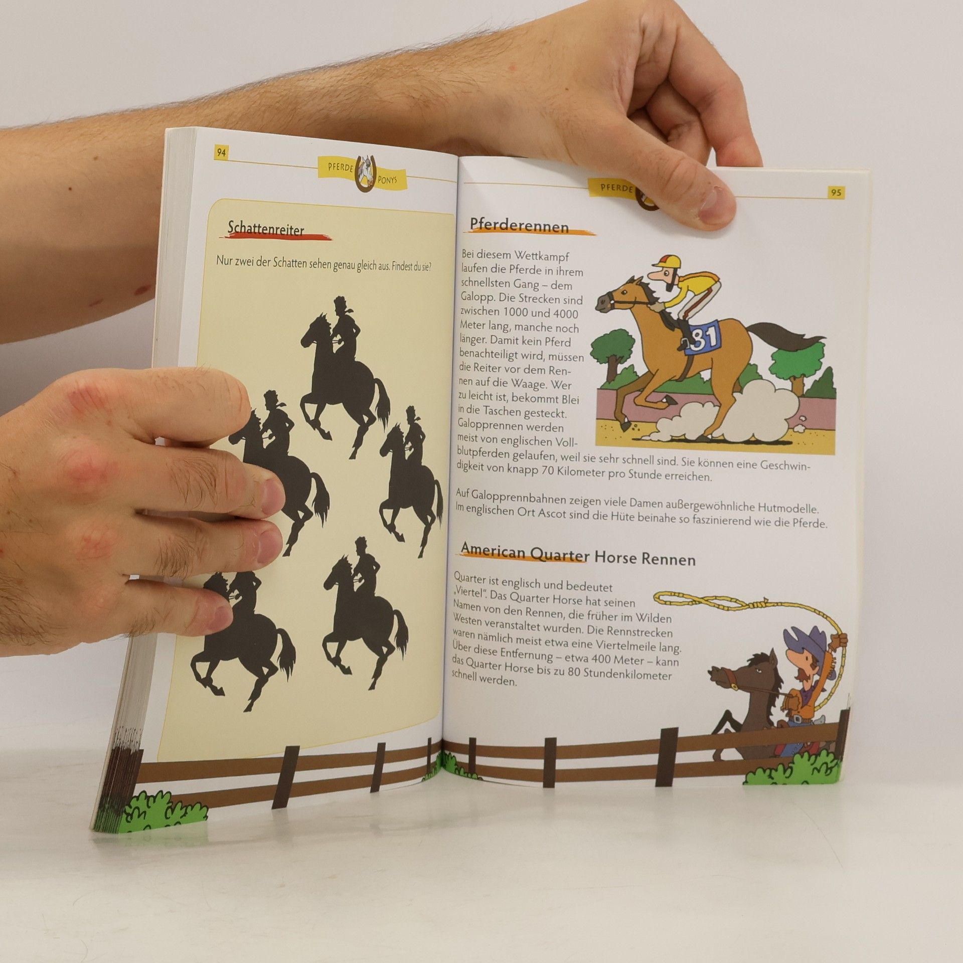 Autorenkollektiv Chevaux et Poneys (les)