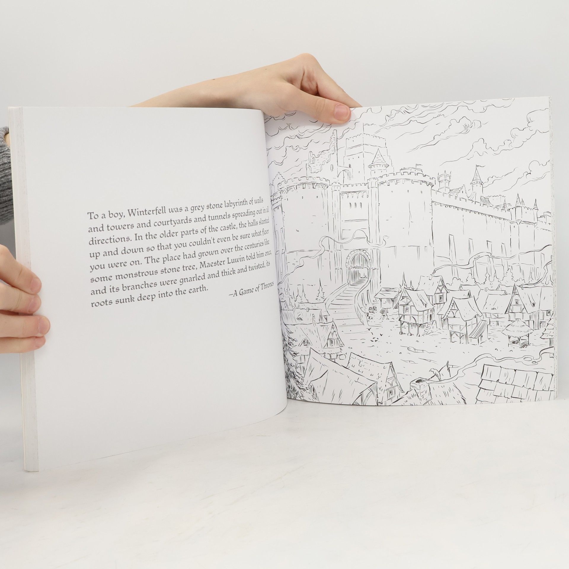 George R. R. Martin The Official A Game of Thrones Colouring Book