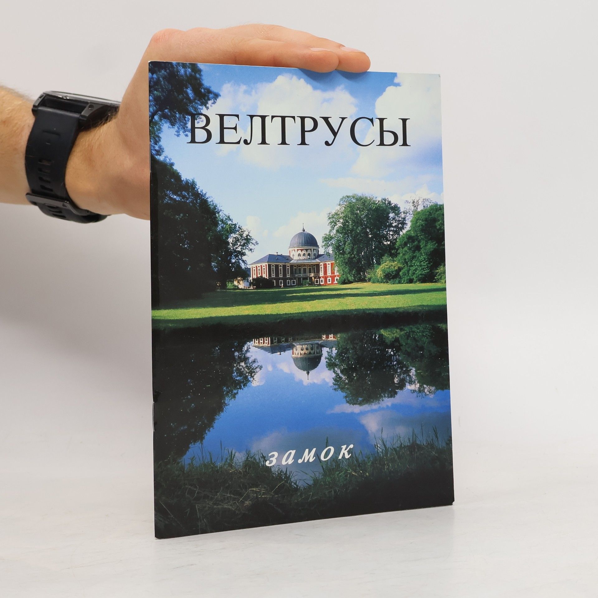 Beltrusy