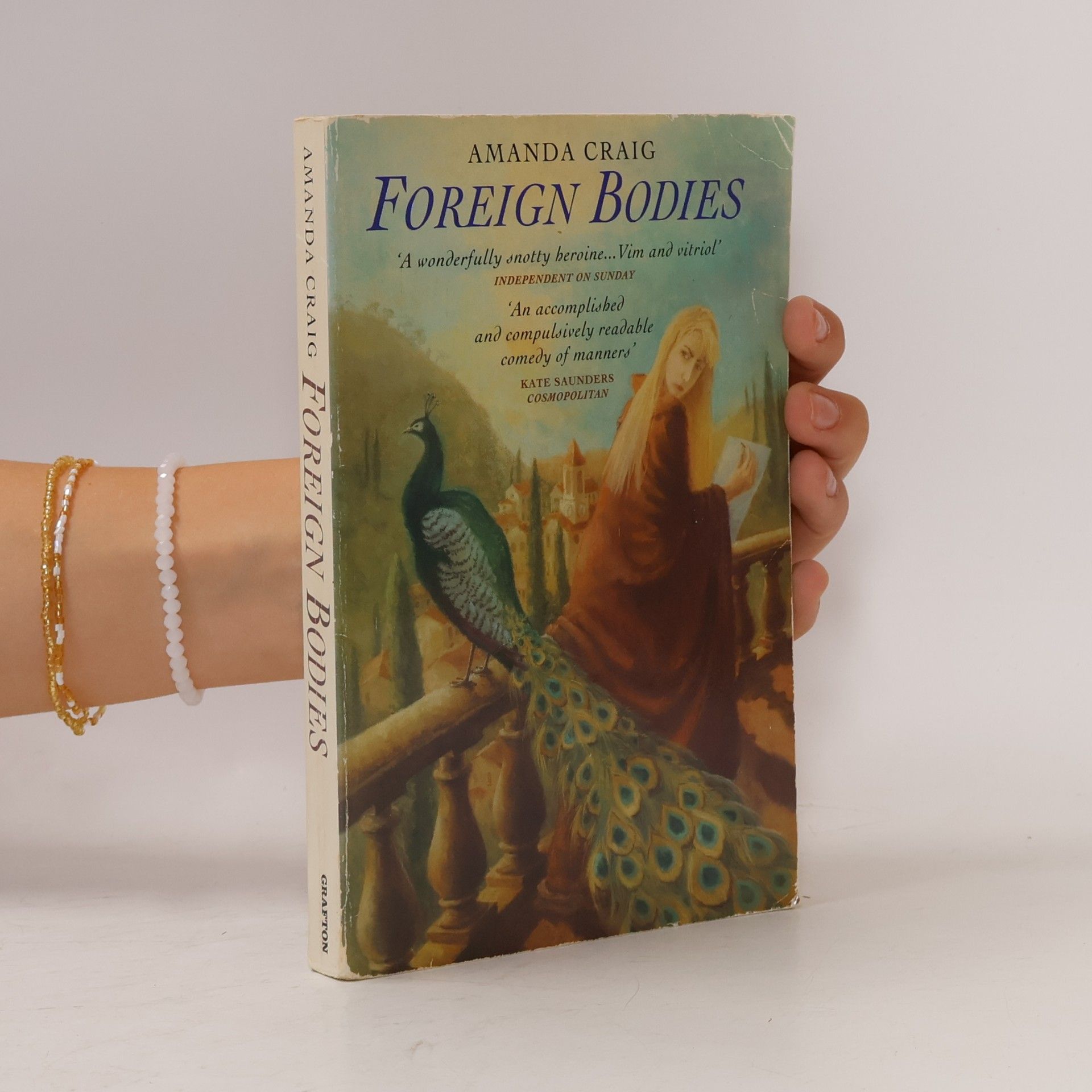 Amanda Craig Foreign bodies