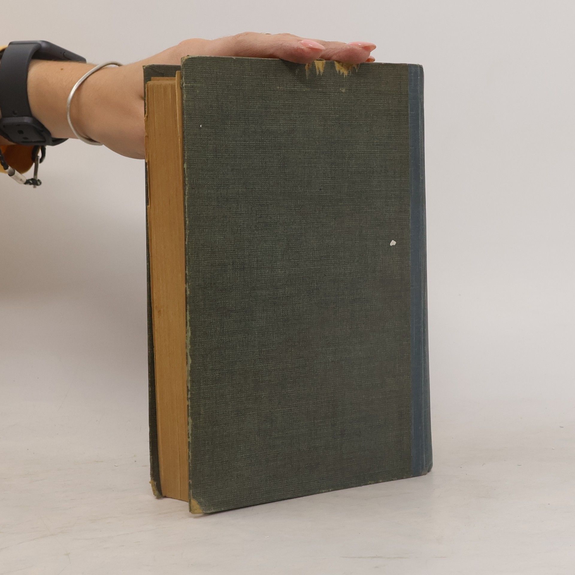 Henriette Davidis Original-Kochbuch für die einfache und reiche Küche