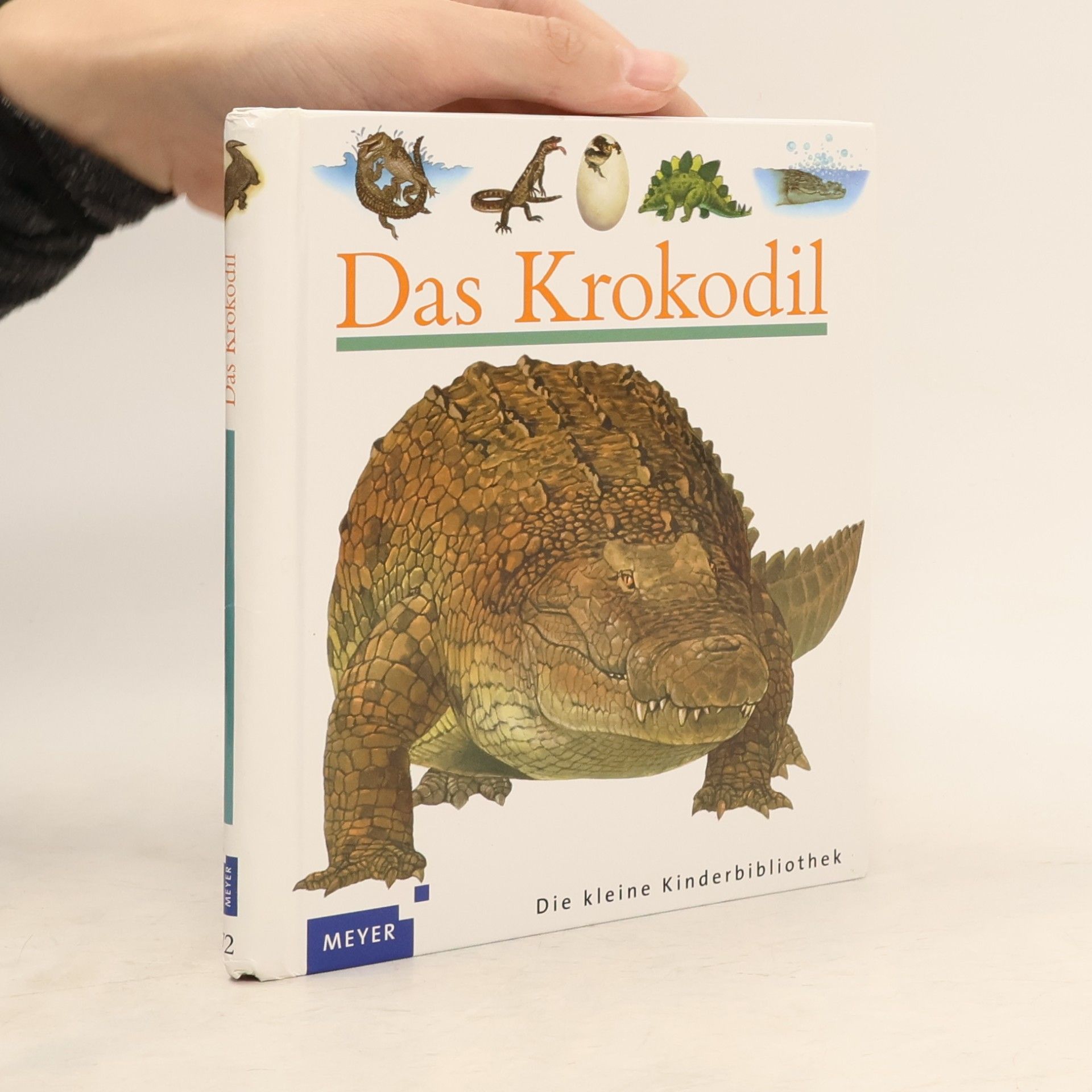 Sylvaine Peyrols Das Krokodil