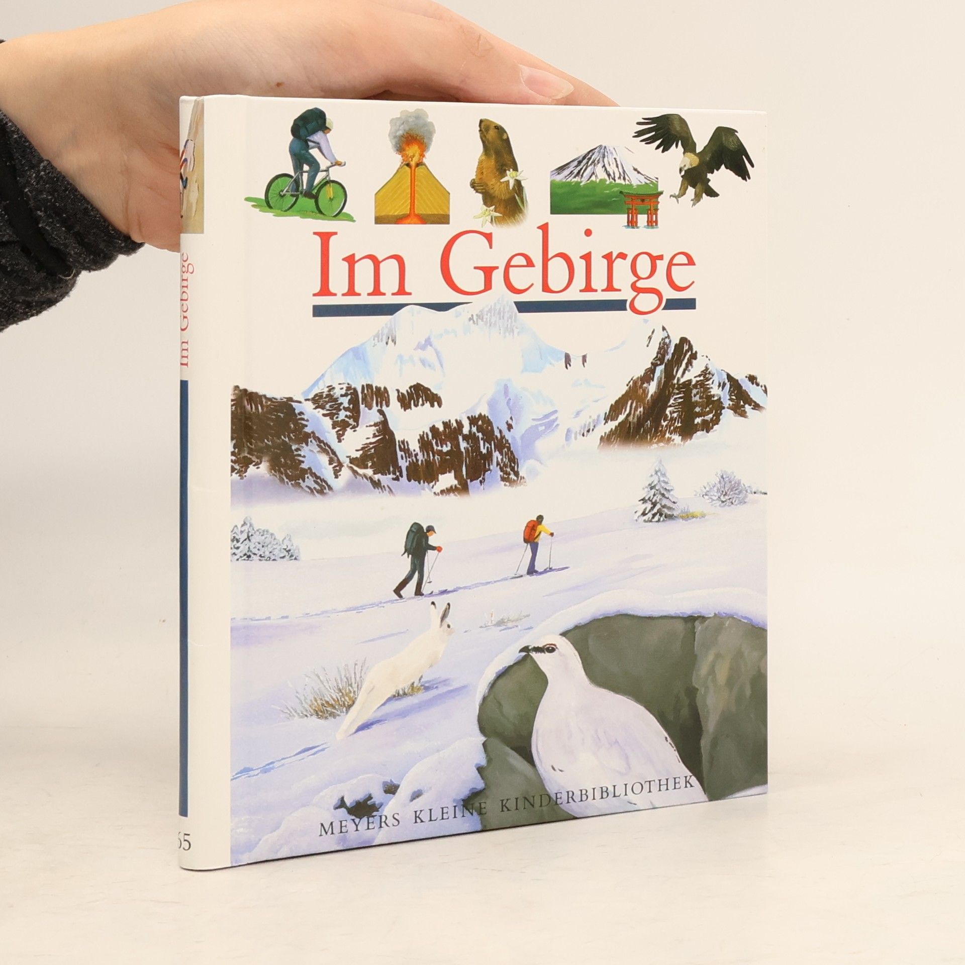 Héliadore Im Gebirge