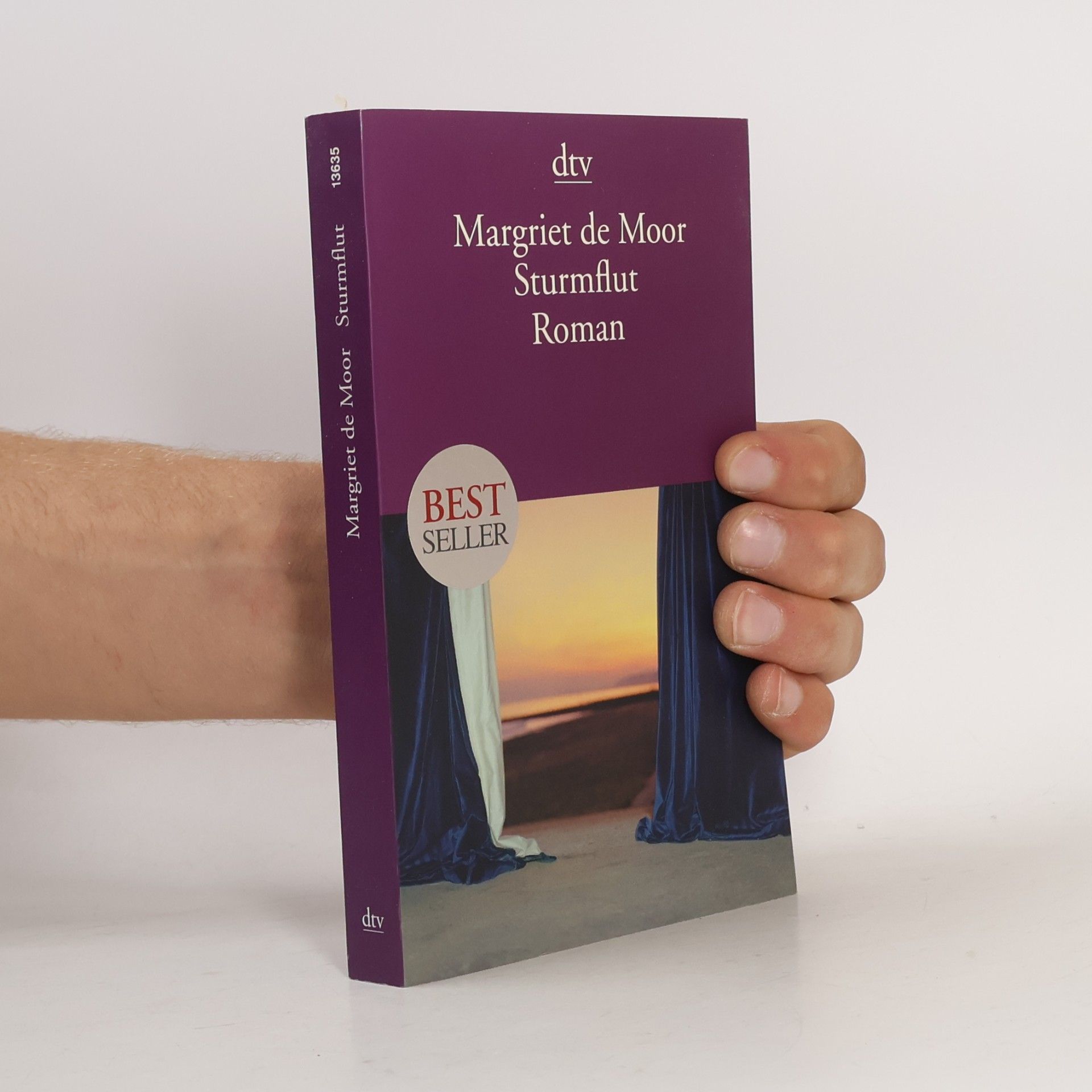Margriet de Moor Sturmflut
