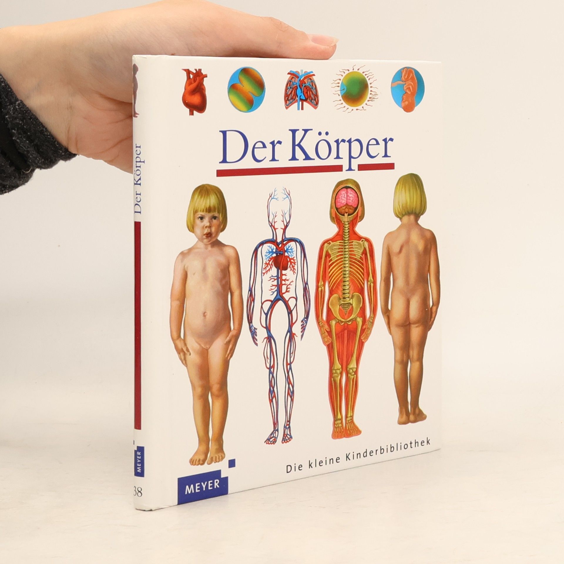 Sylvaine Pérols Der Körper