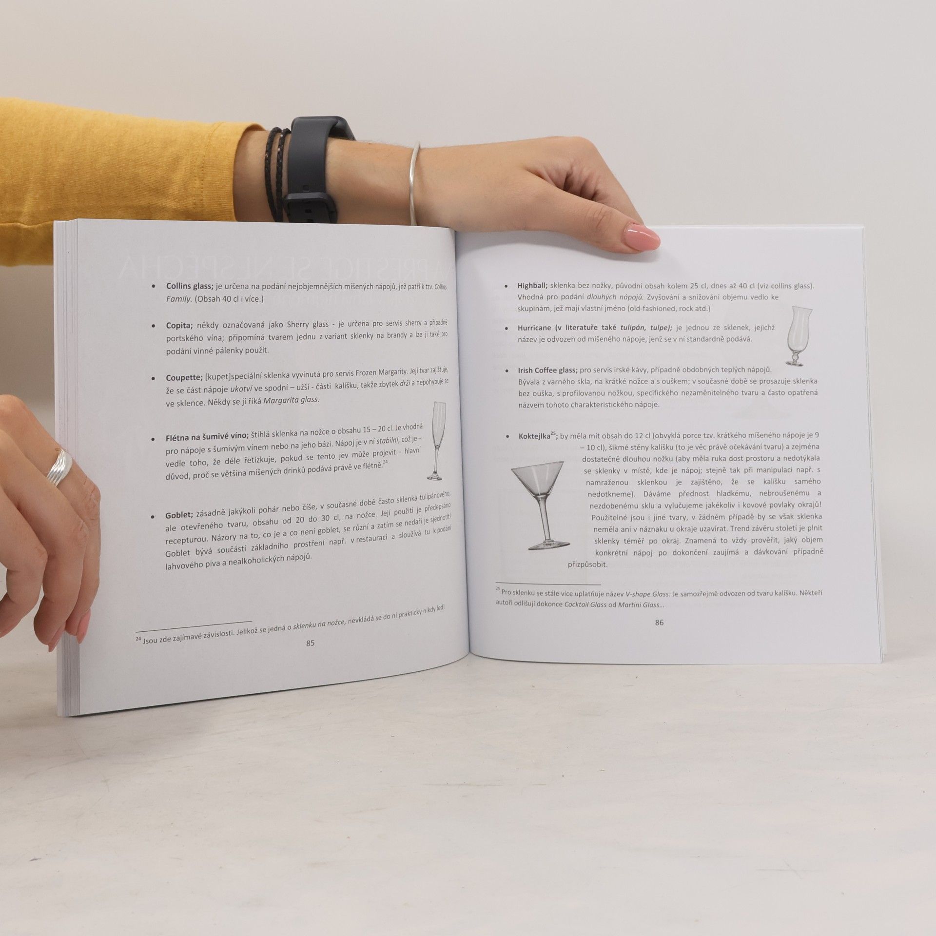 Various authors Skripta tréninkového a rozvojového programu. Základní barmanský kurz. Basic bartender course