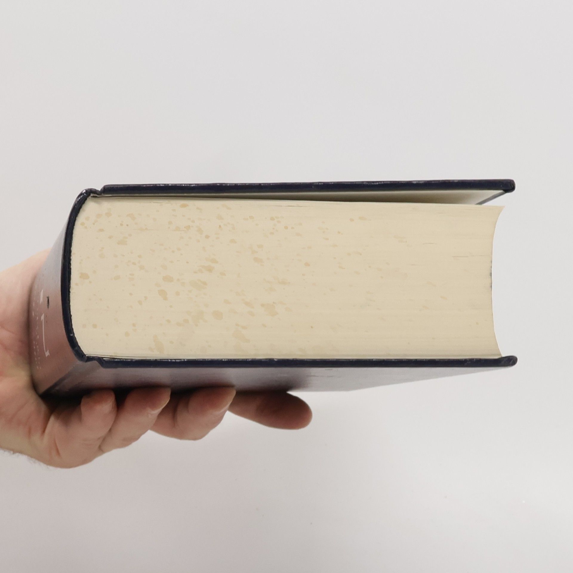 M. Hannay Van Dale handwoordenboek Nederlands-Engels/Engels-Nederlands