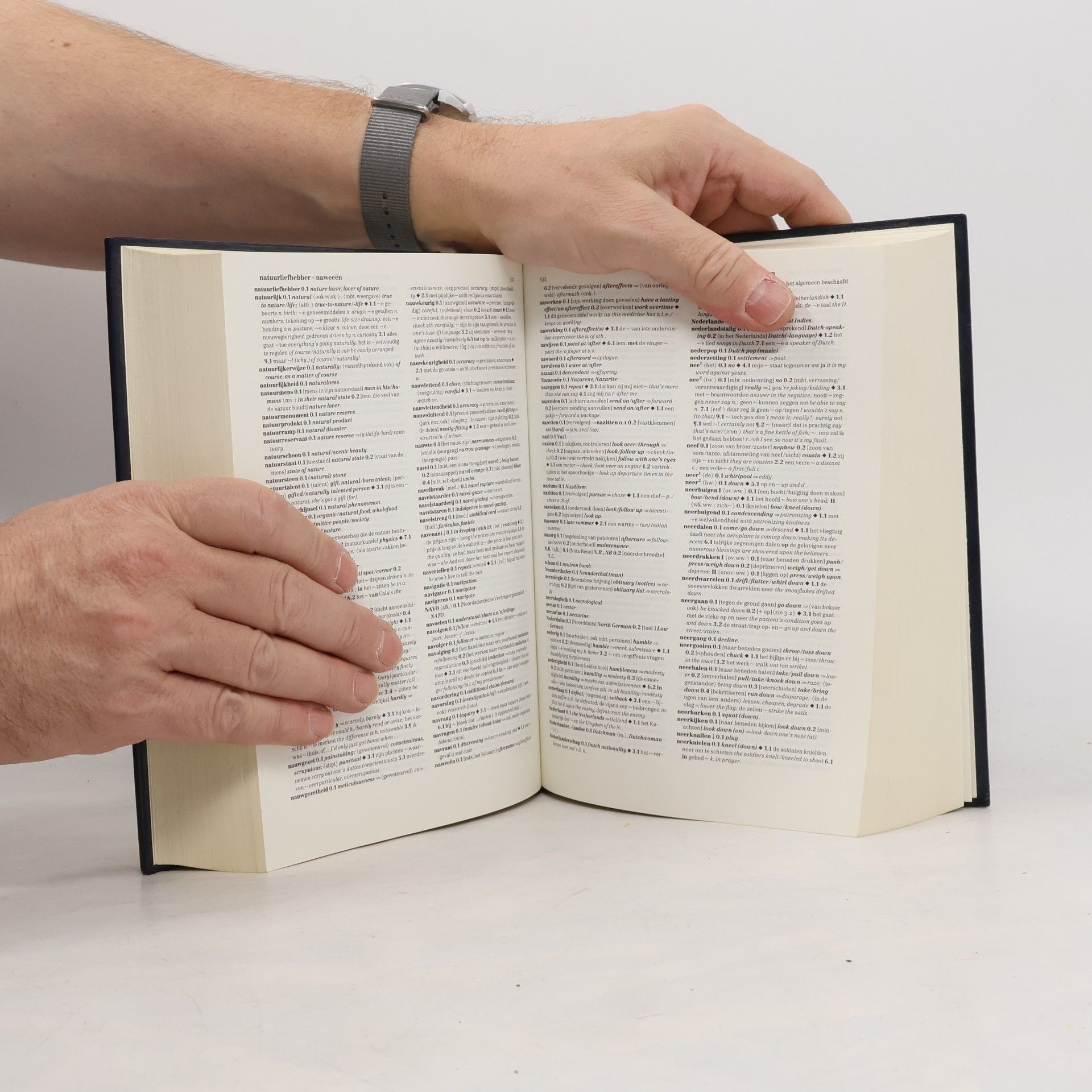 M. Hannay Van Dale handwoordenboek Nederlands-Engels/Engels-Nederlands