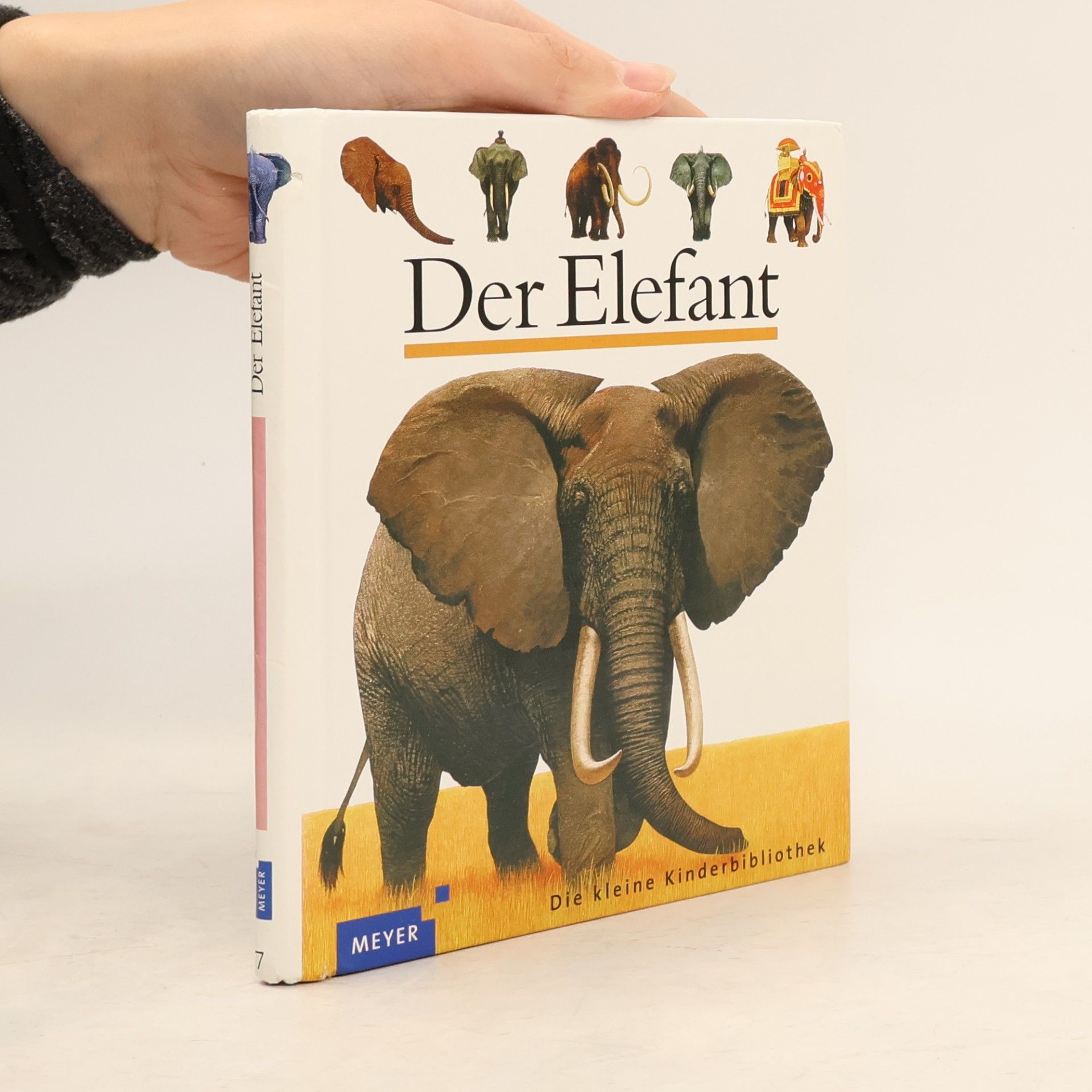 Jame's Prunier Der Elefant
