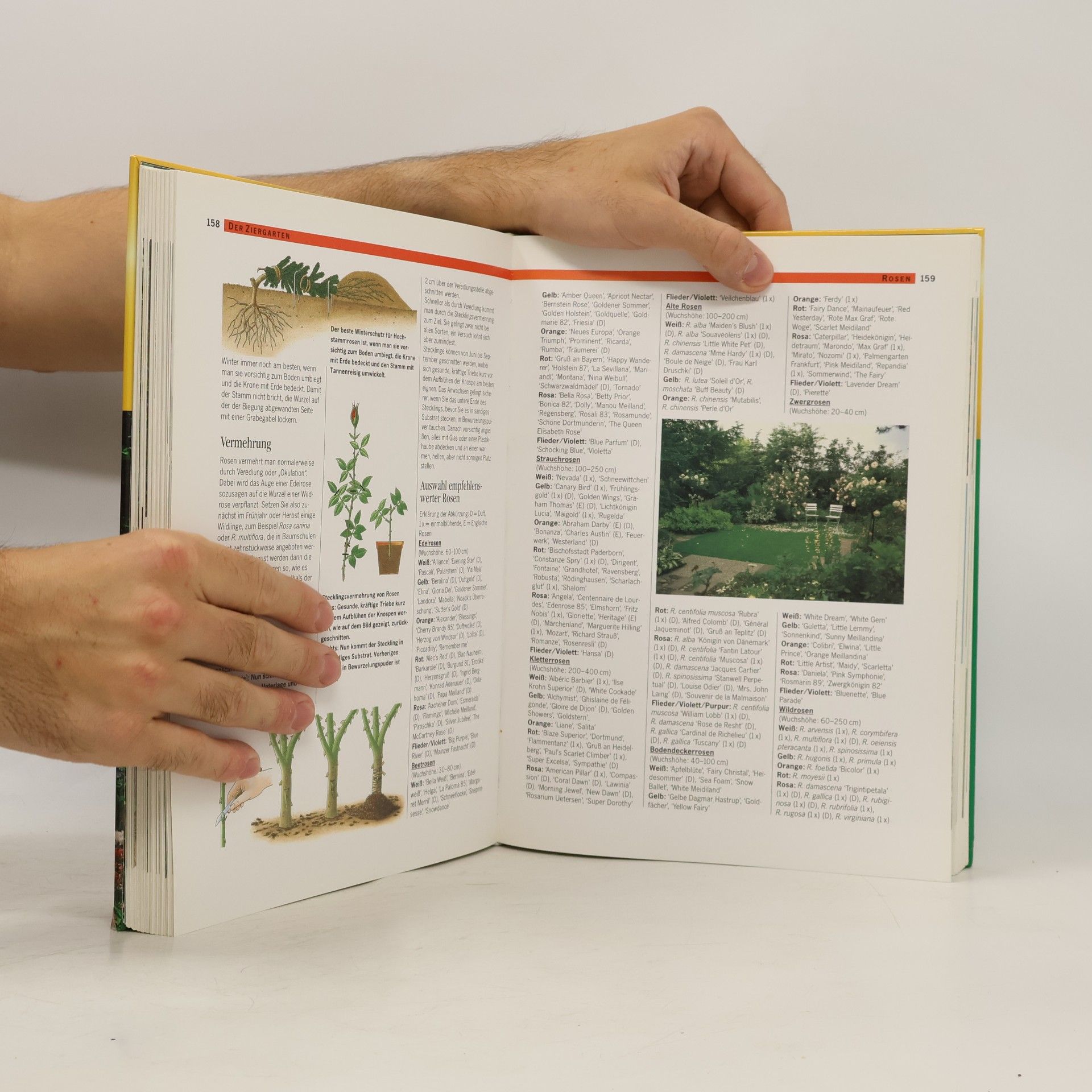 Jürgen Wolff Mein schöner Garten