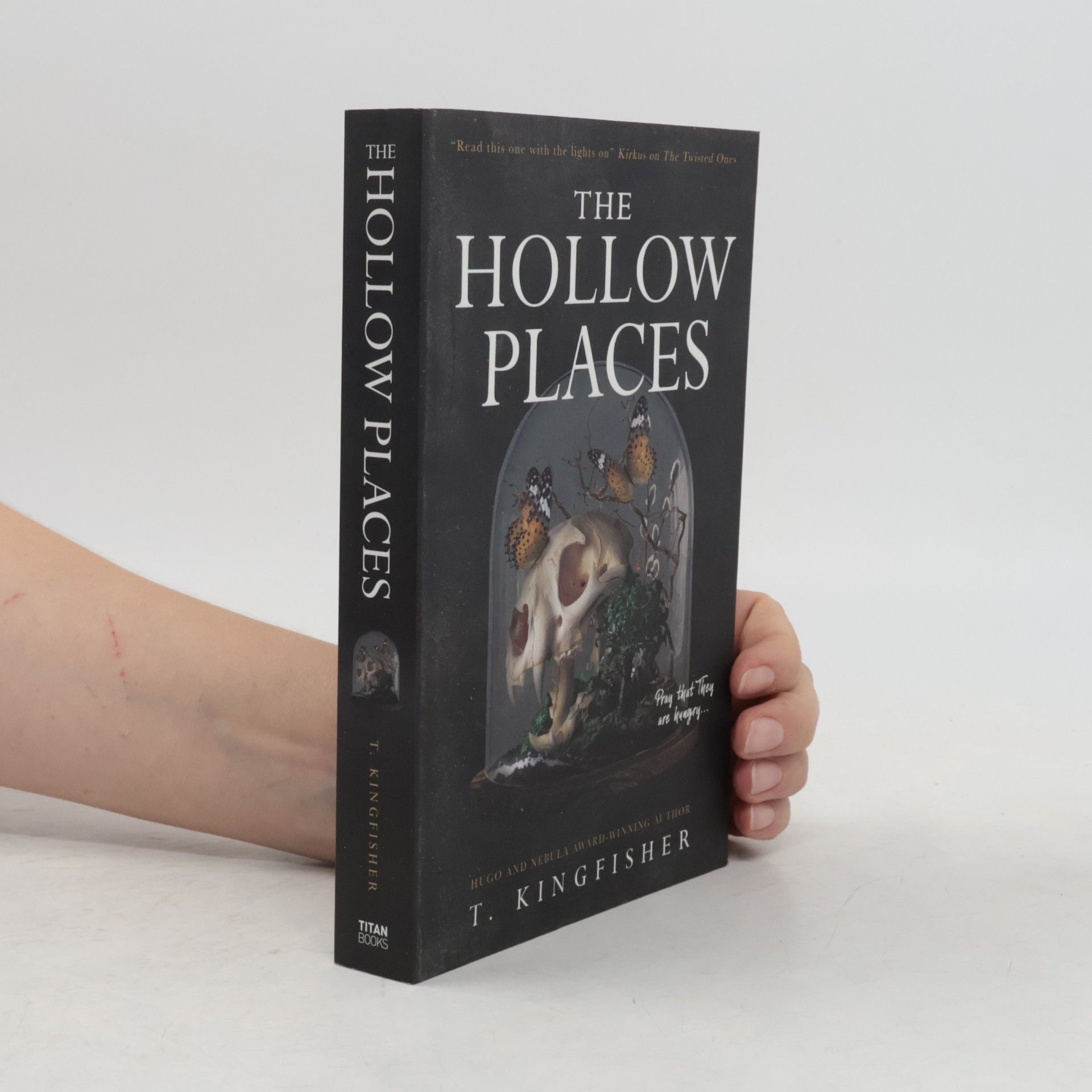 T. Kingfisher The Hollow Places