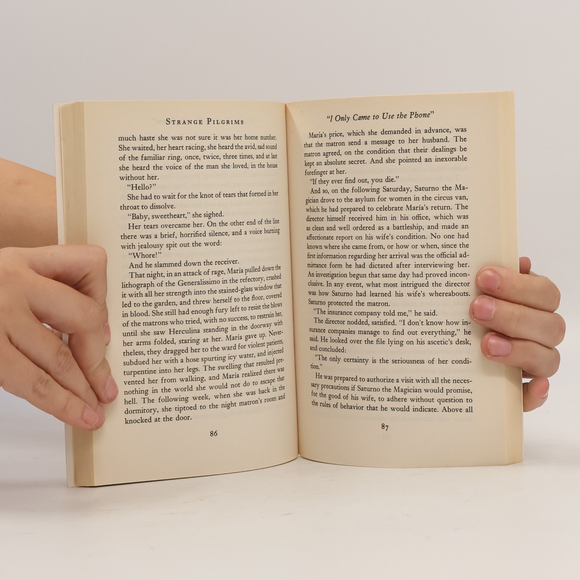 Edith Grossman Strange Pilgrims