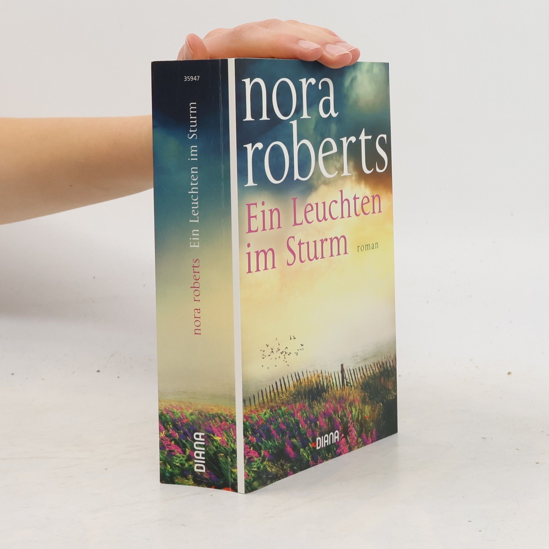 Nora Roberts Ein Leuchten im Sturm